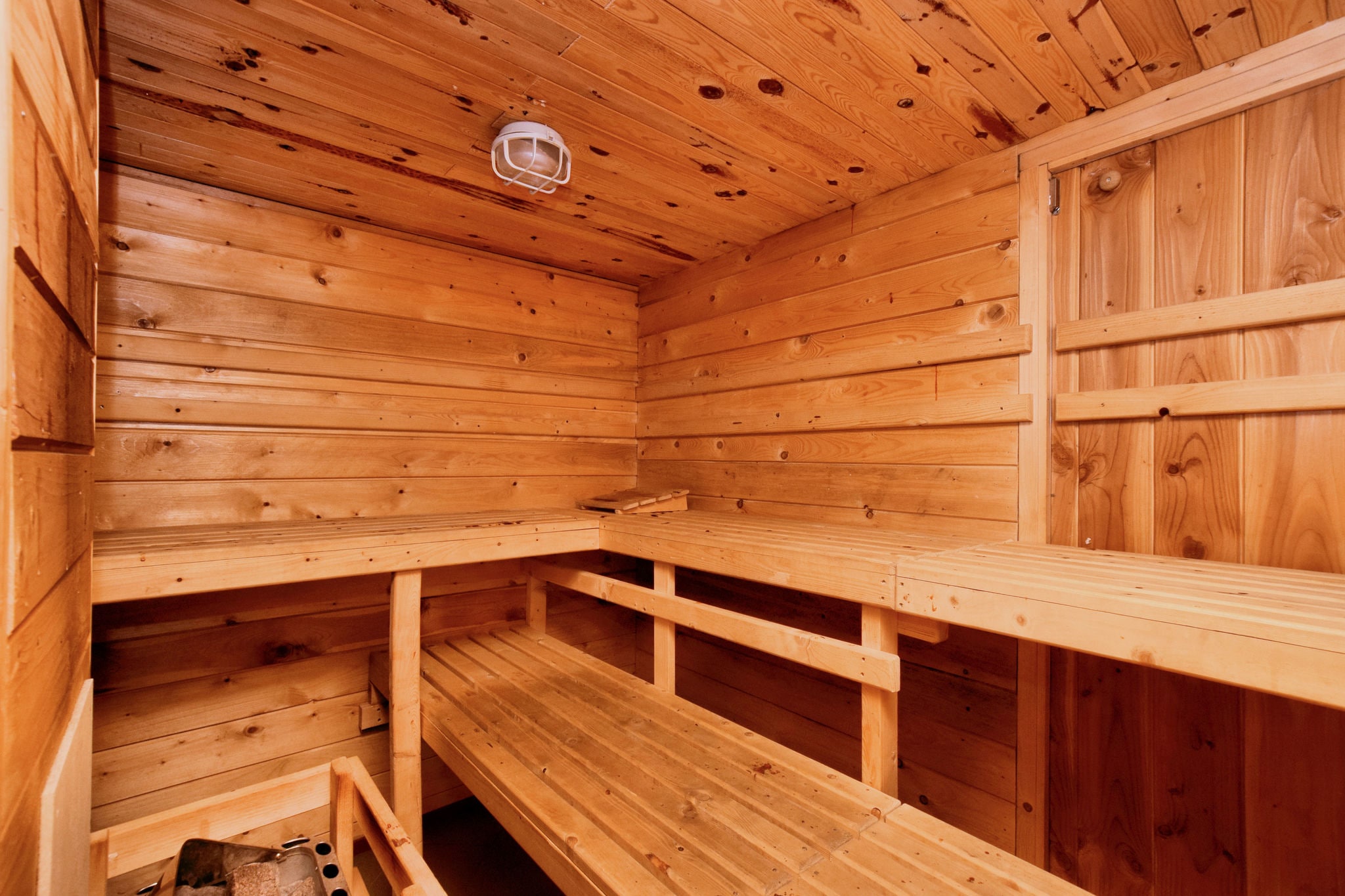 Authentic farm located in the heart of the Ardennes with sauna
