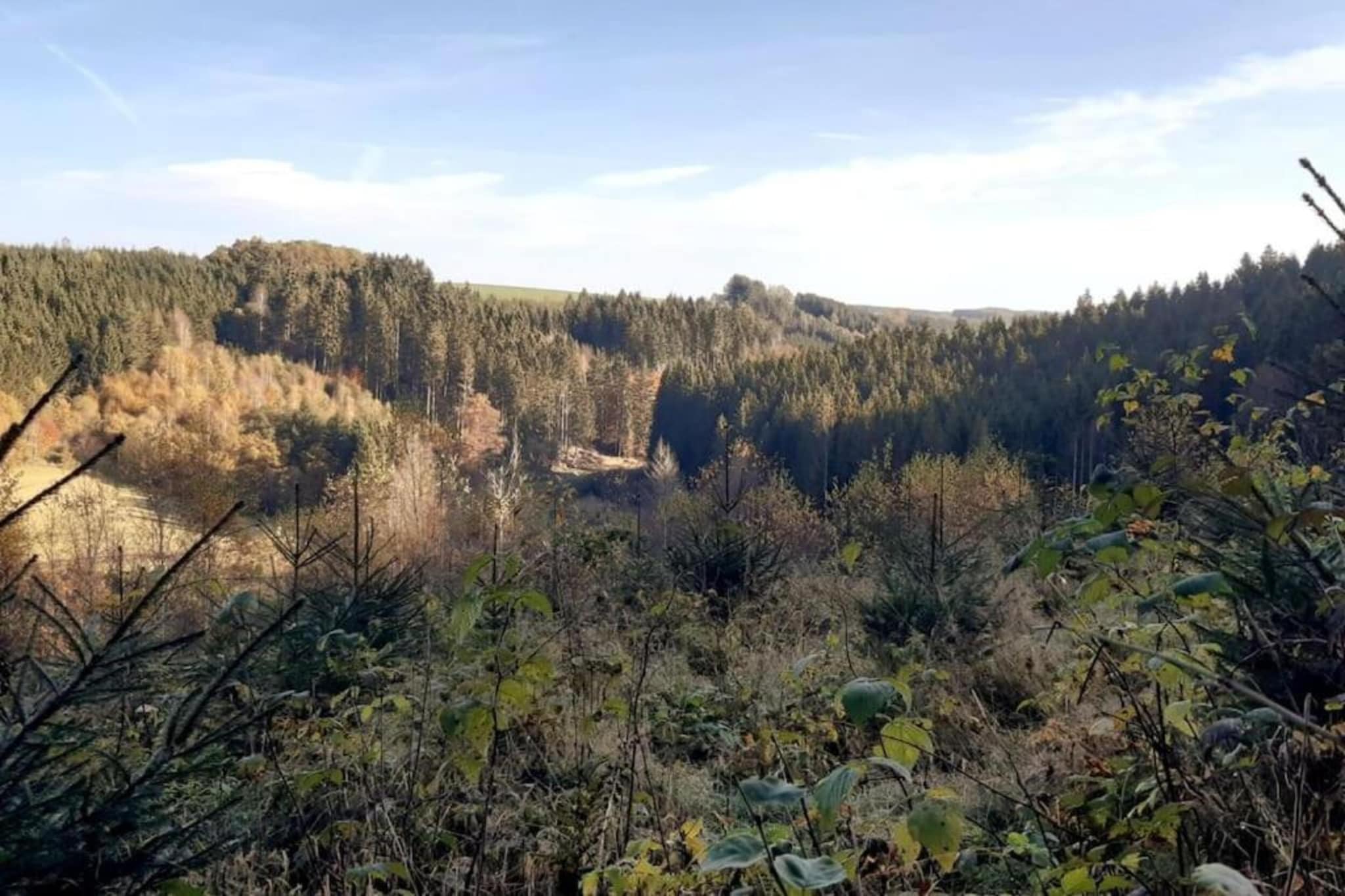 Les Écuries