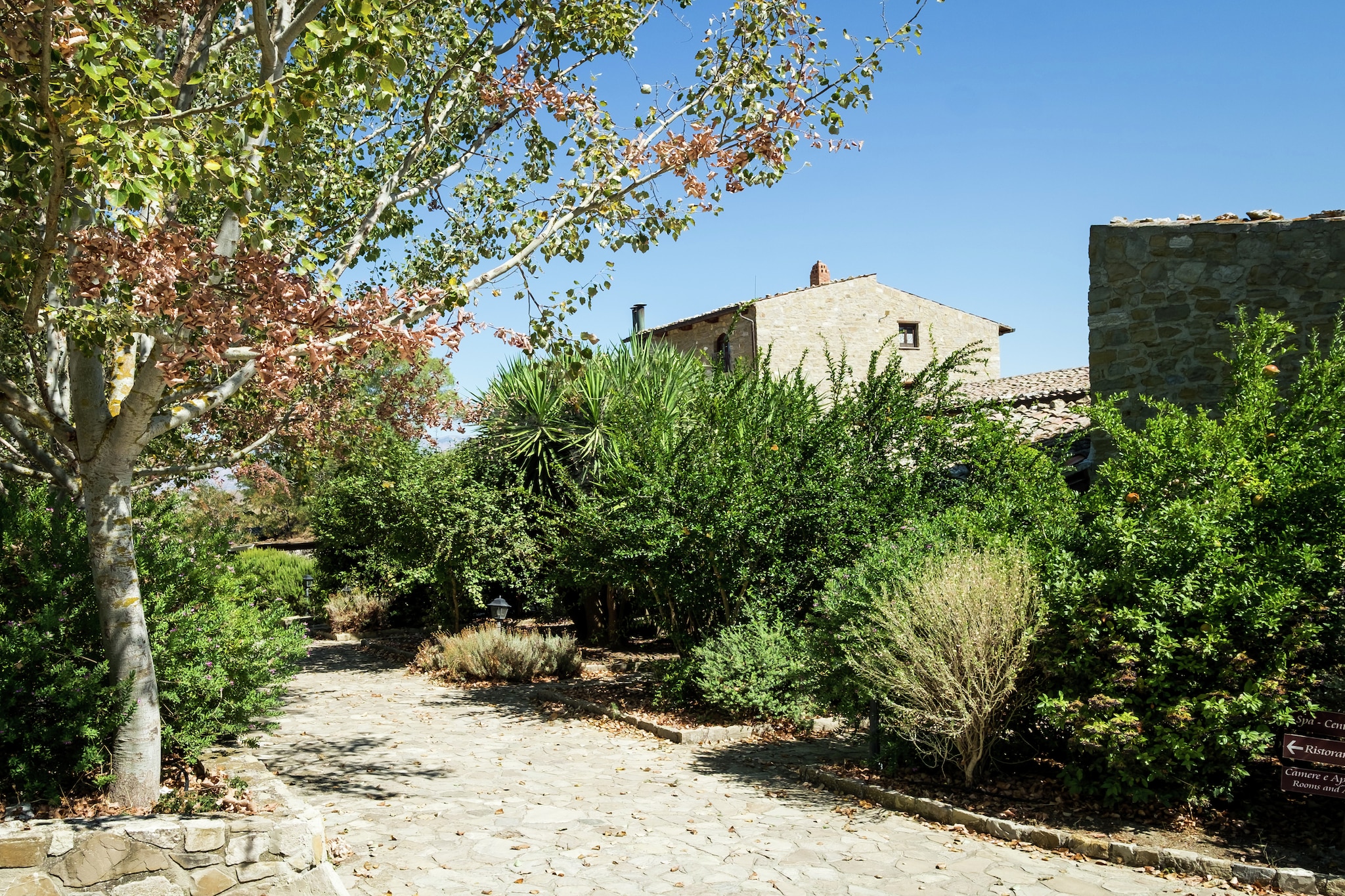 Garden Summer
