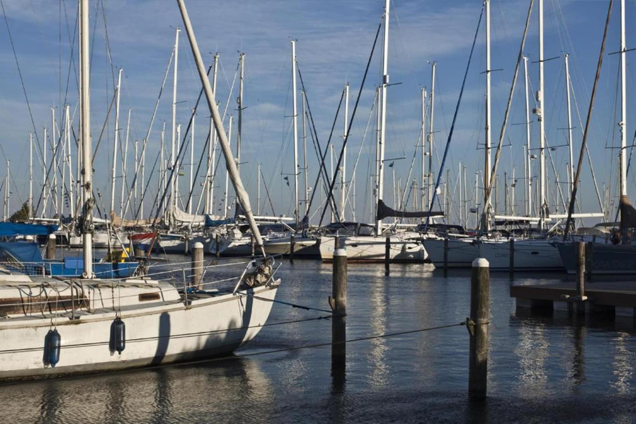 Villavakantiepark IJsselhof 5-Gebieden zomer 20km