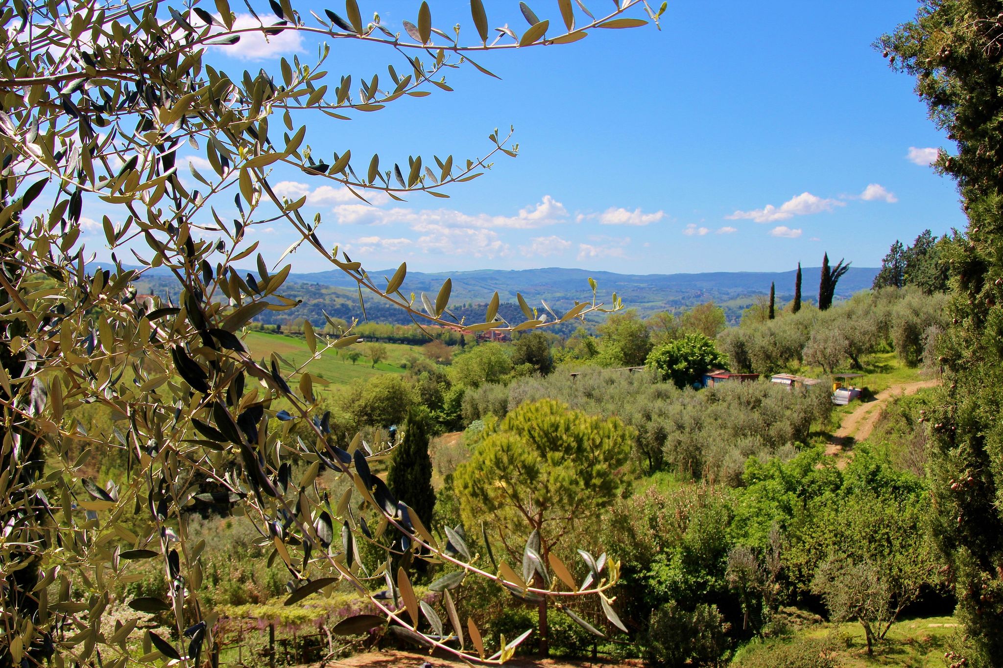 Genieten van het Toscaanse landschap in agriturismo met zwdembad en wifi