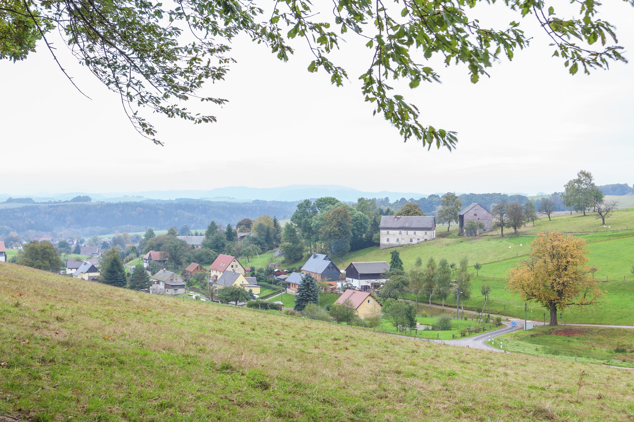 Hohnstein-Gebiete Sommer 5 km