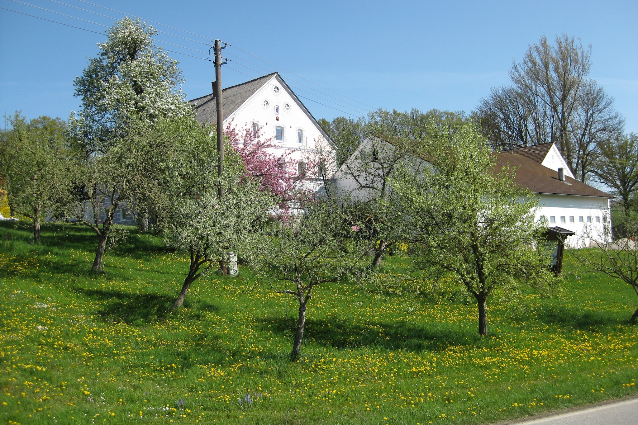 Am Ferienhof-Tuinen zomer