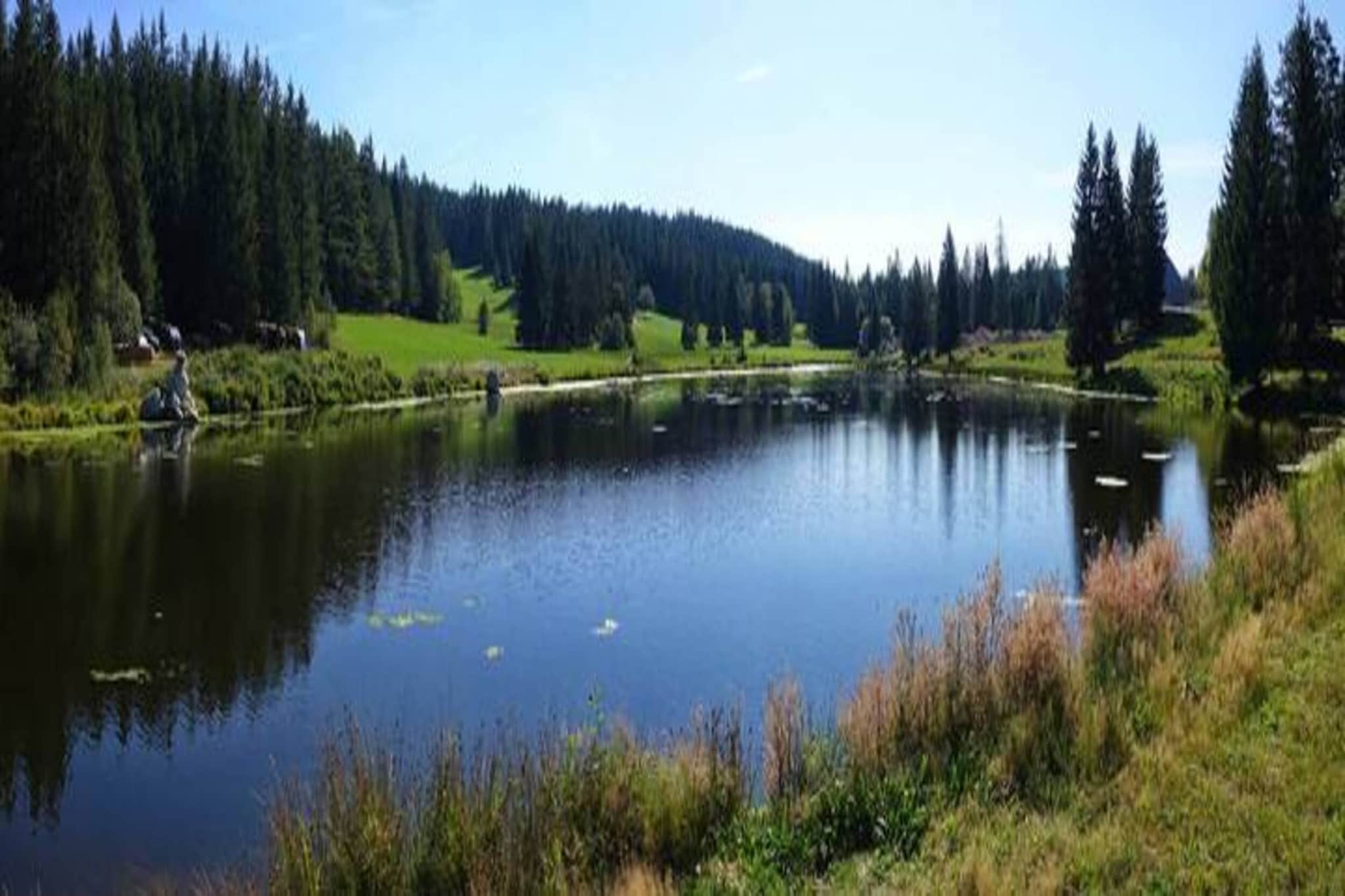 Schwarzwald - Gummenstein-Gebiete Sommer 20 km