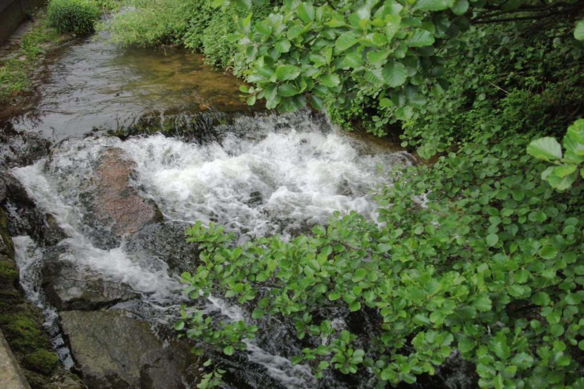 Schwarzwald - Gummenstein-Gebiete Sommer 20 km
