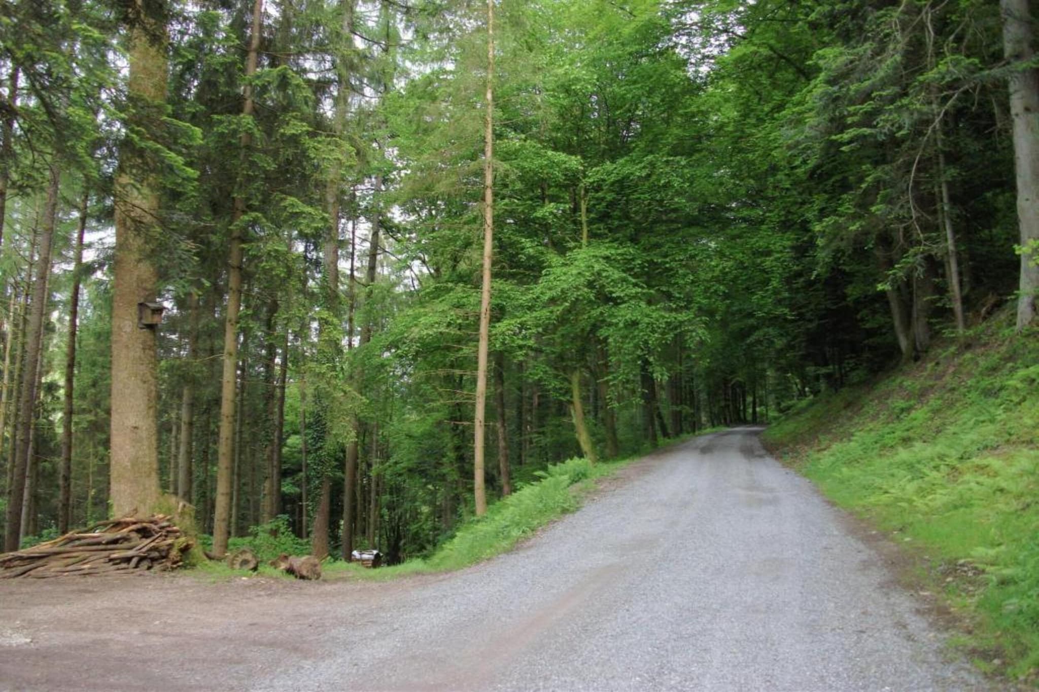 Schwarzwald - Gummenstein-Gebiete Sommer 20 km