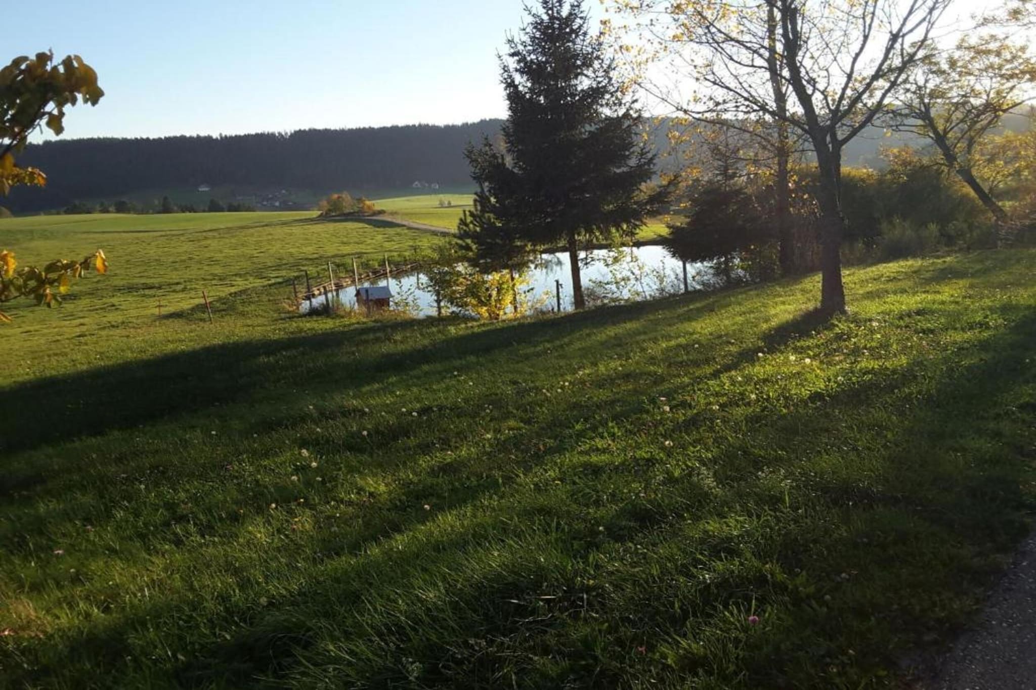 Schwarzwald - Gummenstein-Gebiete Sommer 20 km