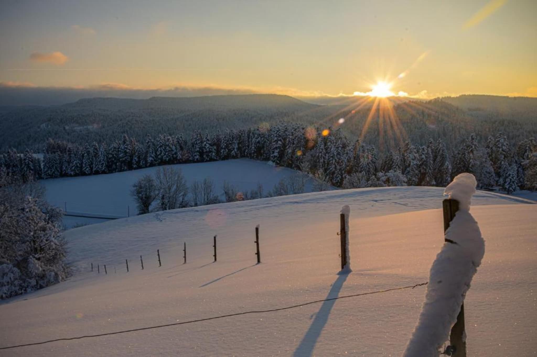 Schwarzwald - Gummenstein-Gebiet Winter 20 km