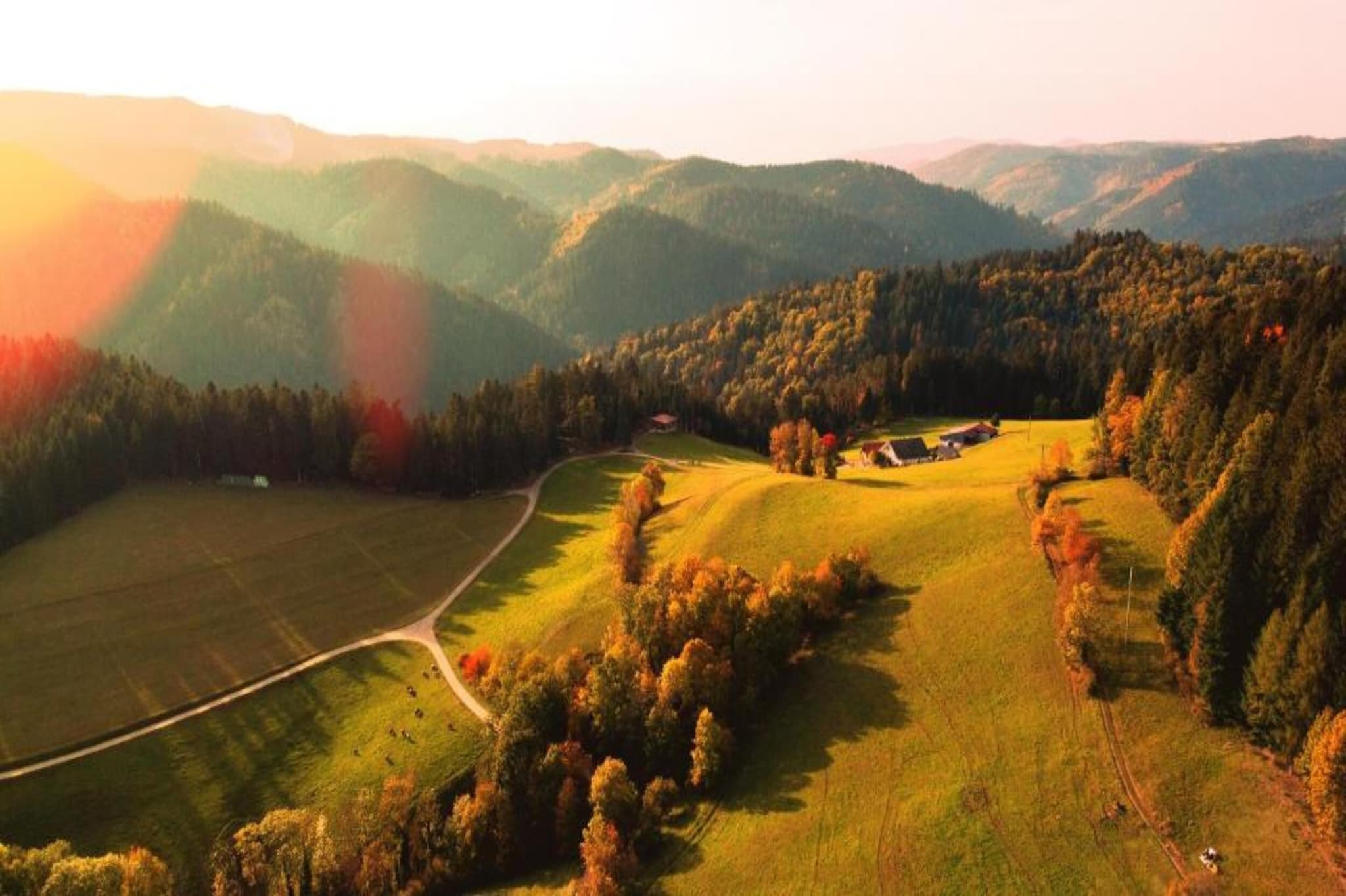 Schwarzwald - Gummenstein-Gebiet Winter 20 km