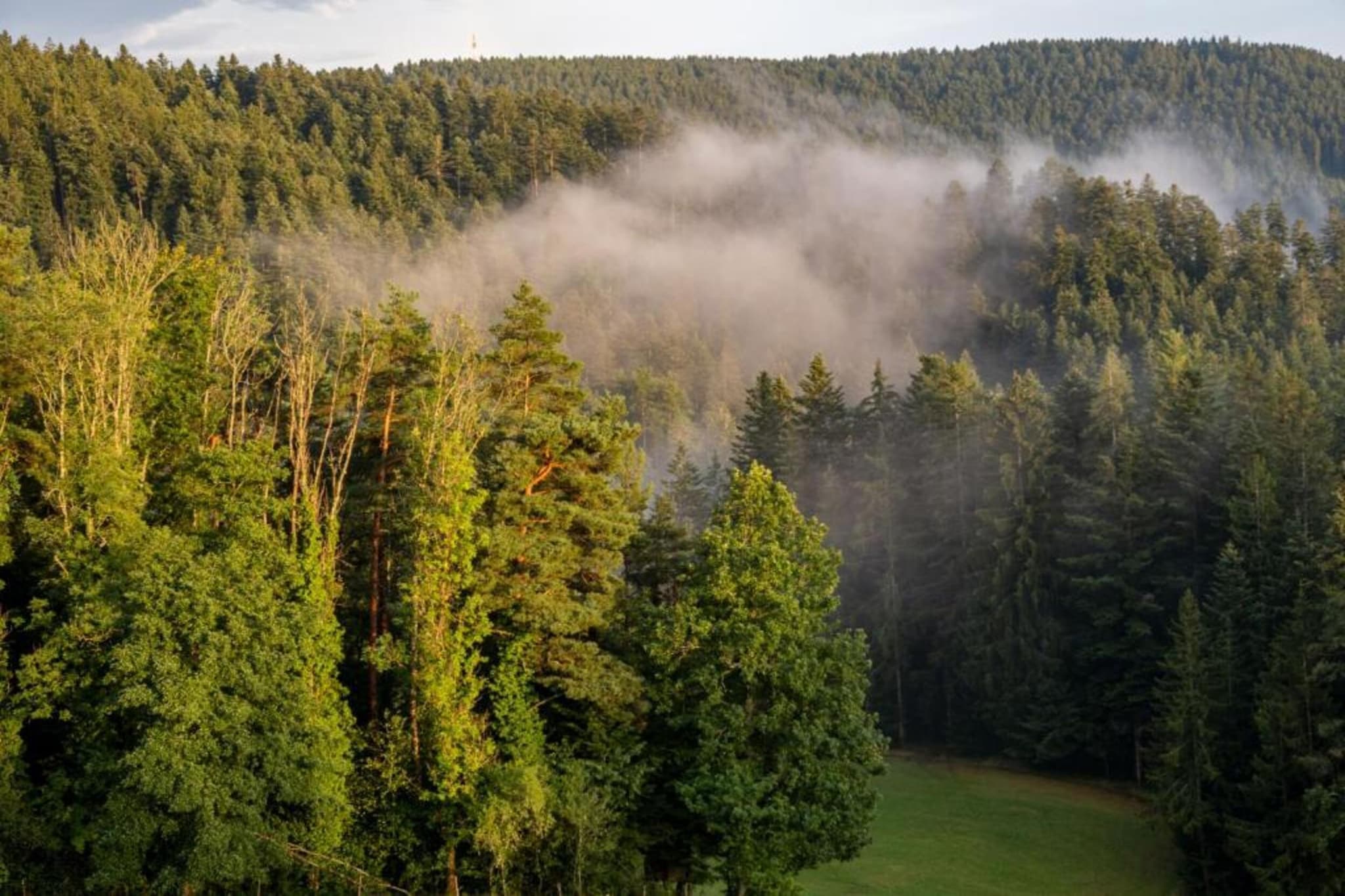 Schwarzwald - Gummenstein-Gebiet Winter 20 km