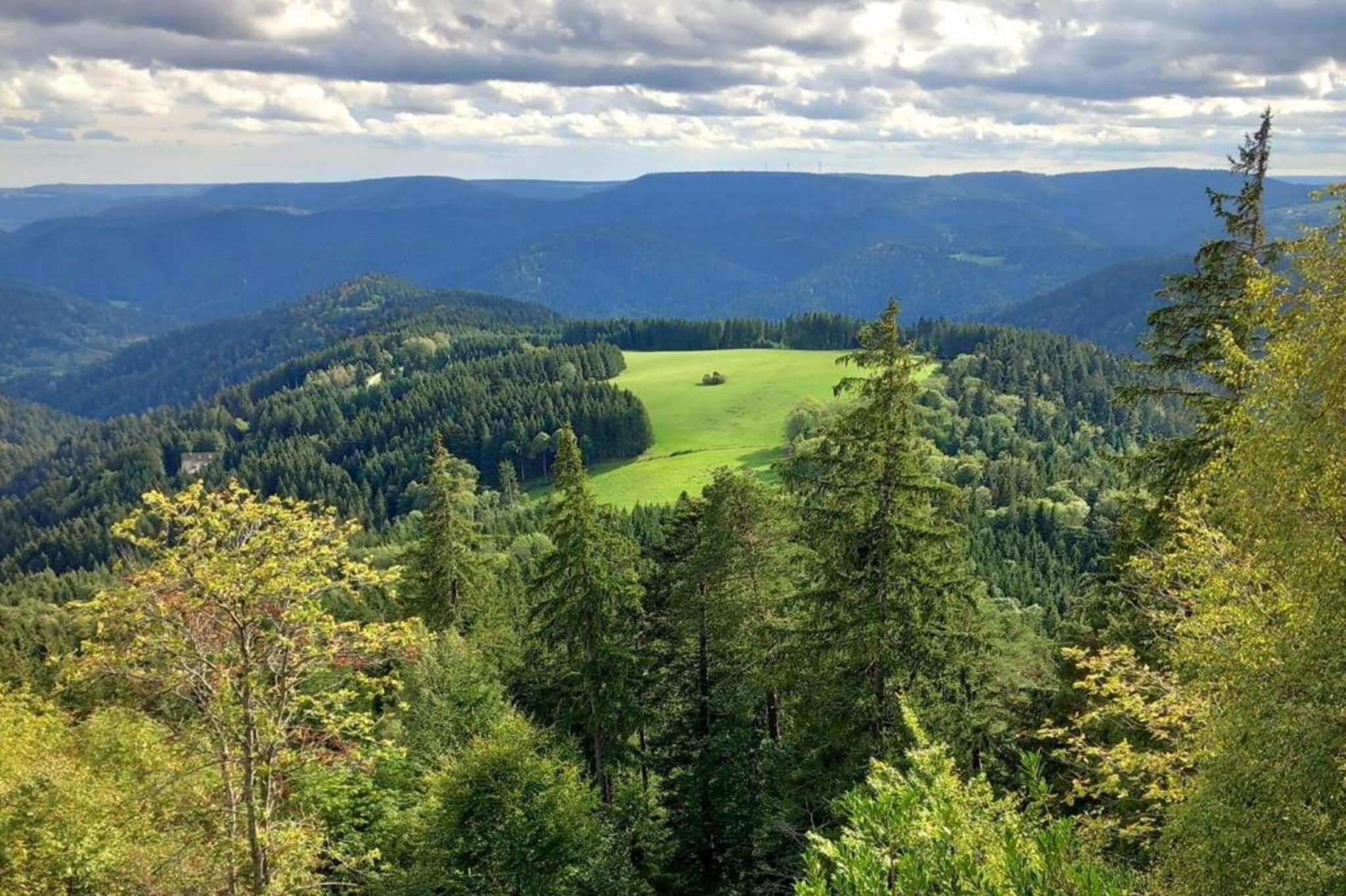 Schwarzwald - Gummenstein-Gebiet Winter 20 km