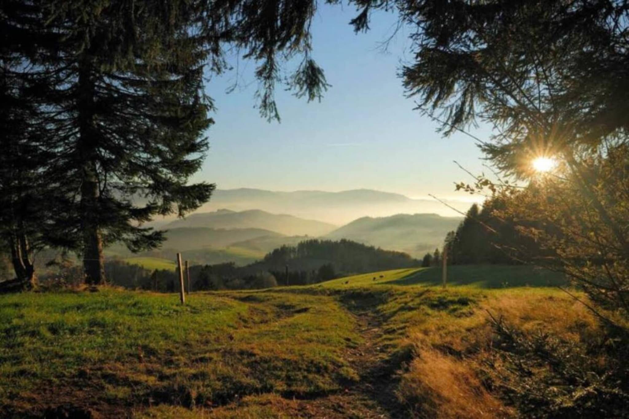 Schwarzwald - Gummenstein-Gebiet Winter 20 km