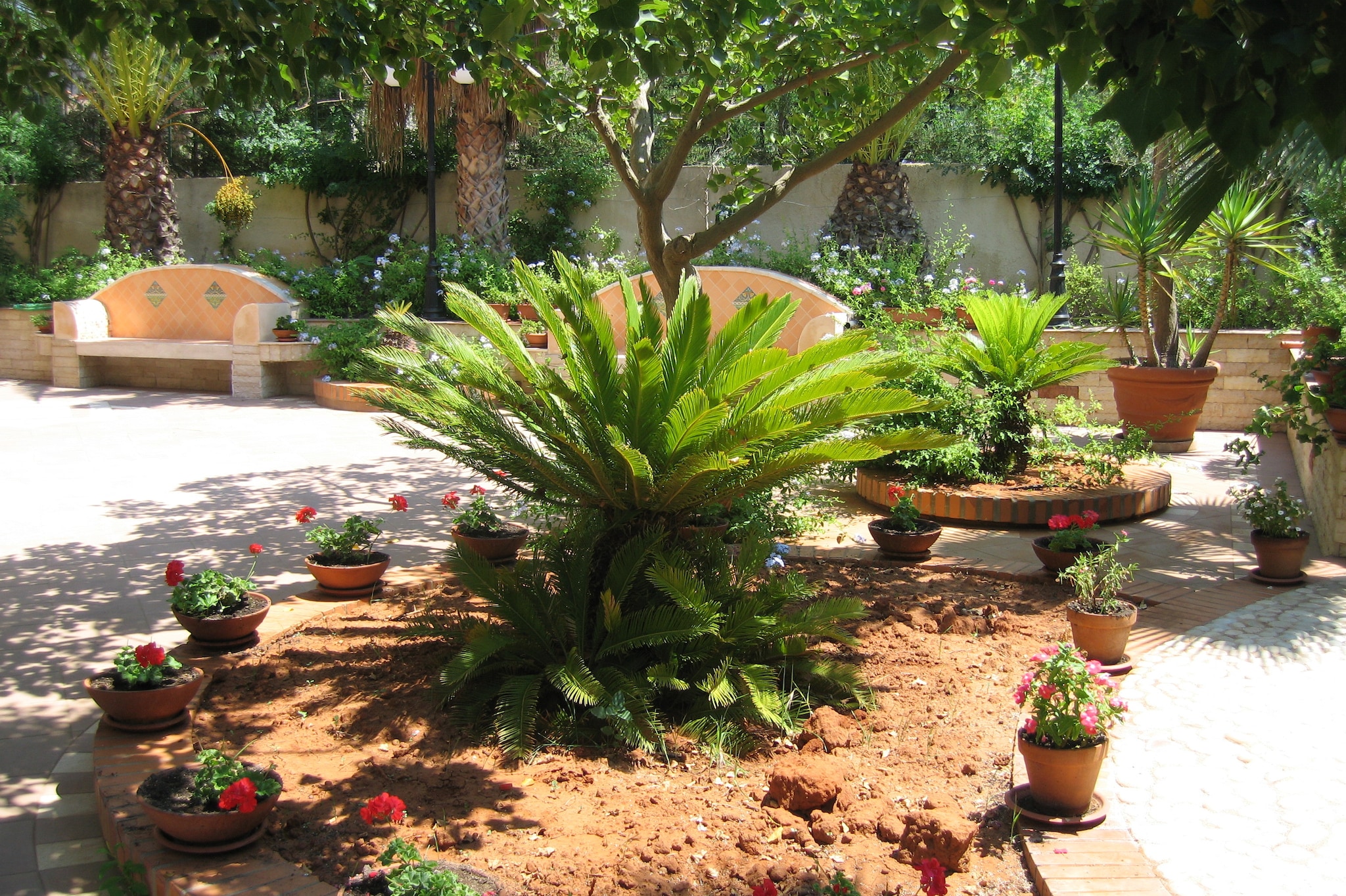 Garden Summer
