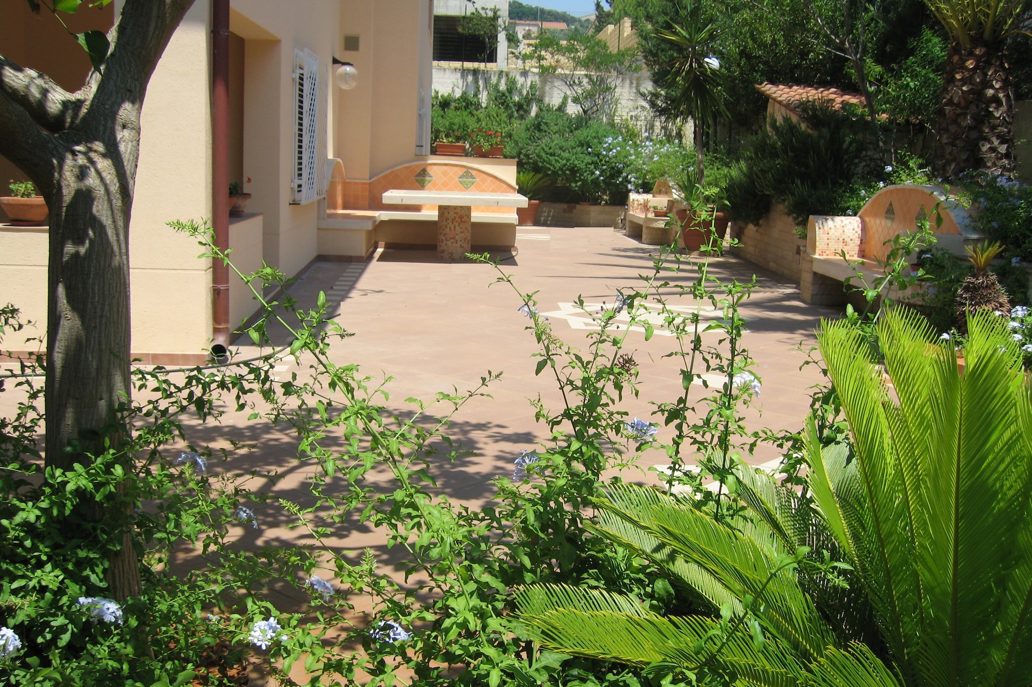 Garden Summer