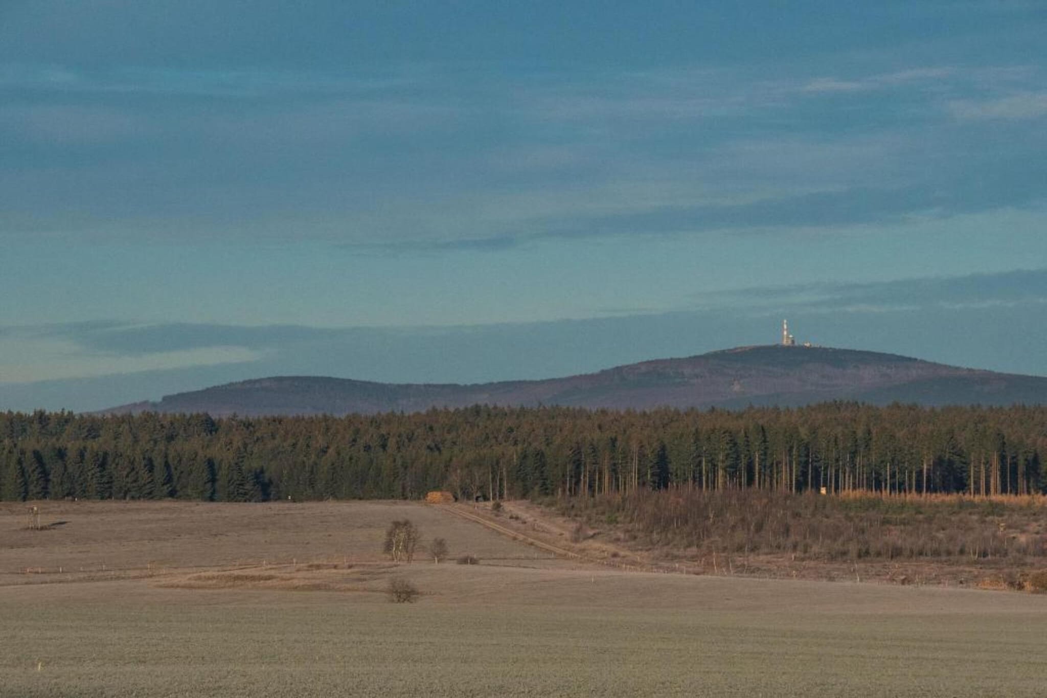 Im Harz-Gebiete Sommer 20 km