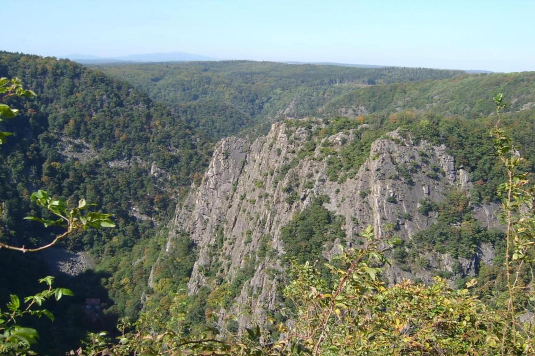 Im Harz-Gebiete Sommer 20 km