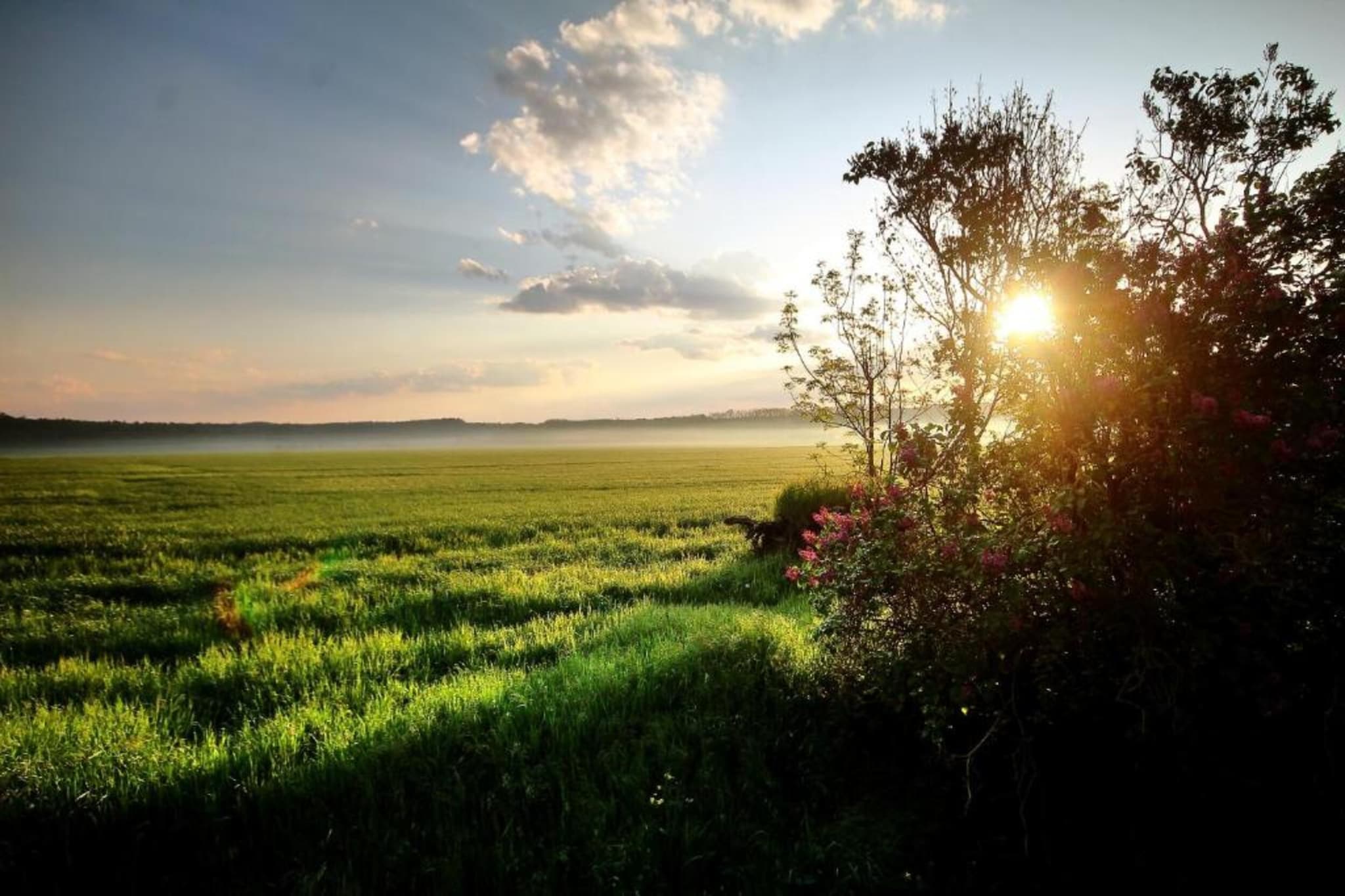 Im Harz-Gebiete Sommer 20 km