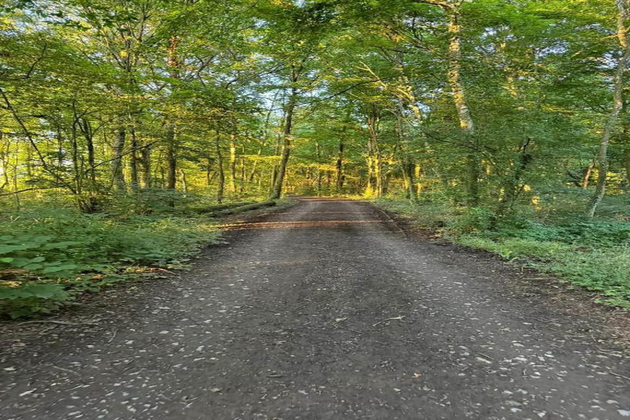 Oneux-Areas summer 20km