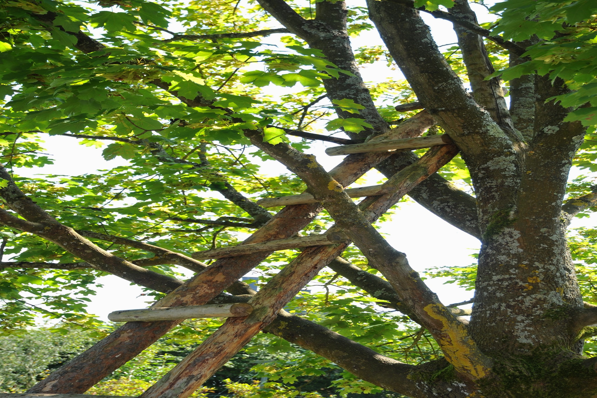 Chez Robert-Gardens summer