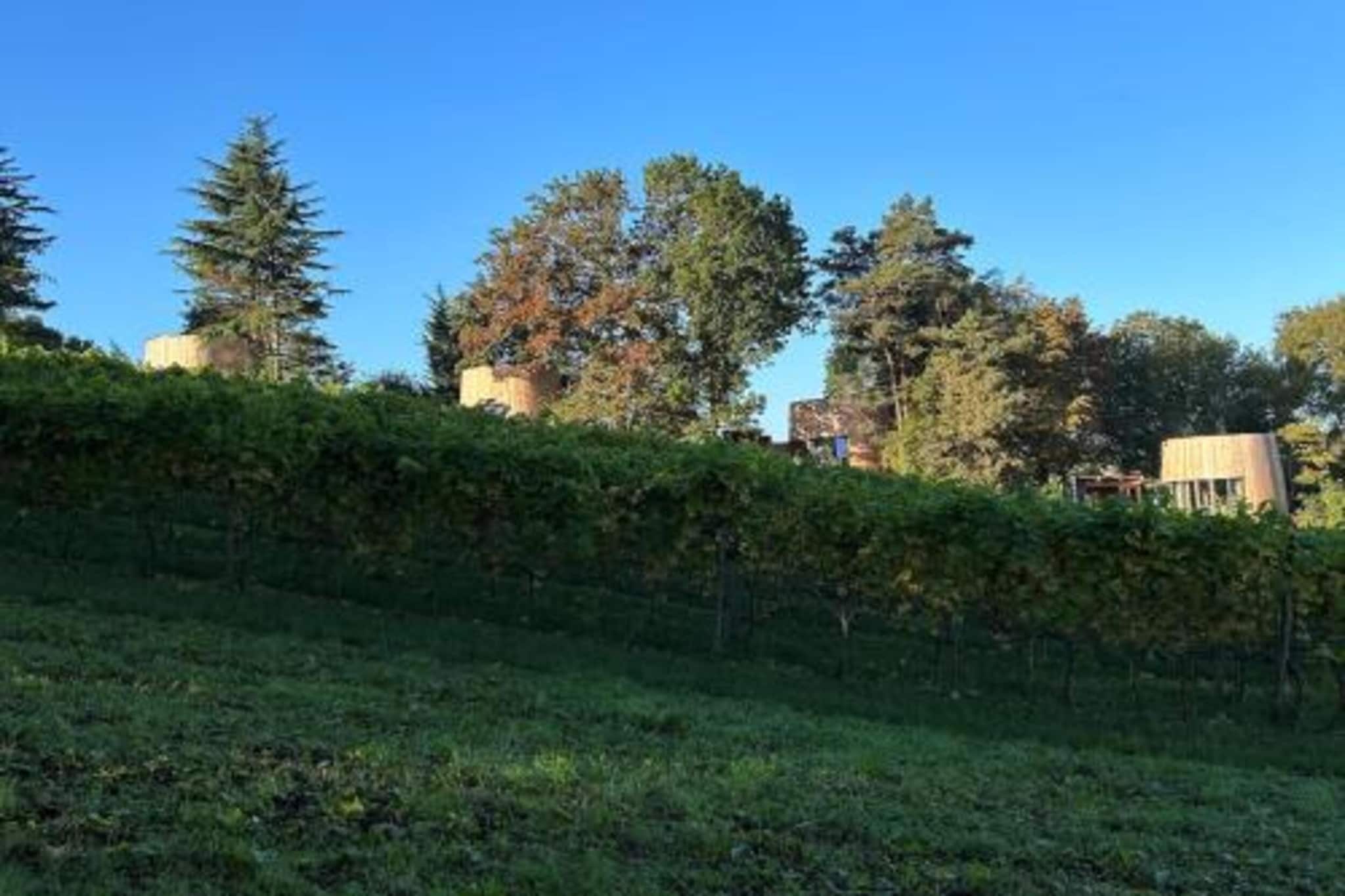 Lindbergh-Gebiete Sommer 20 km