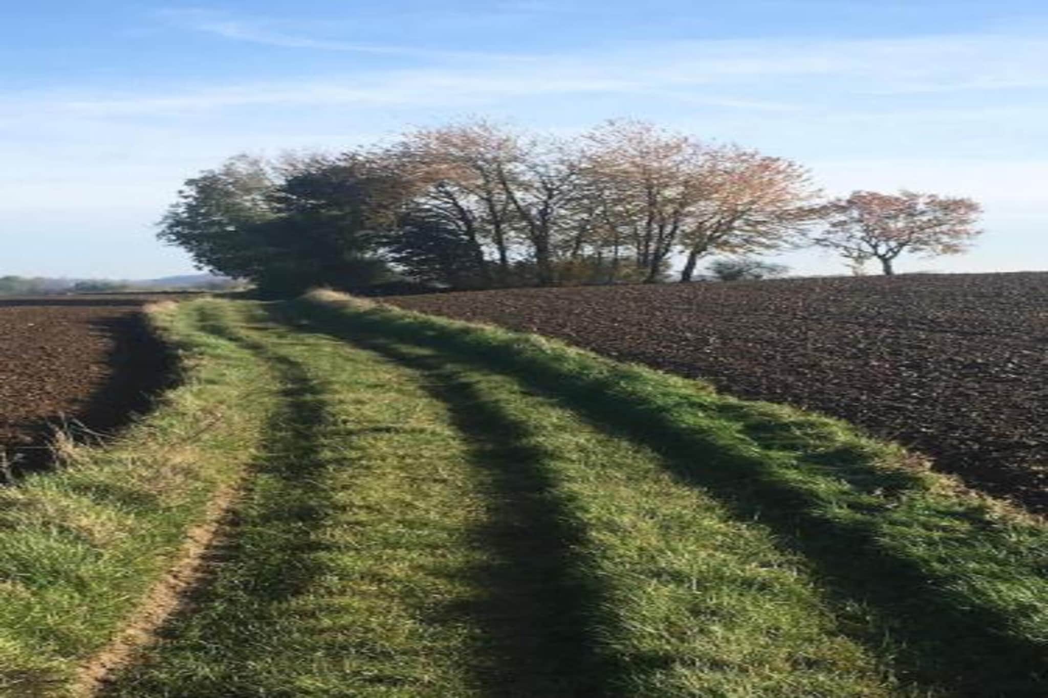 Lindbergh-Gebiete Sommer 20 km