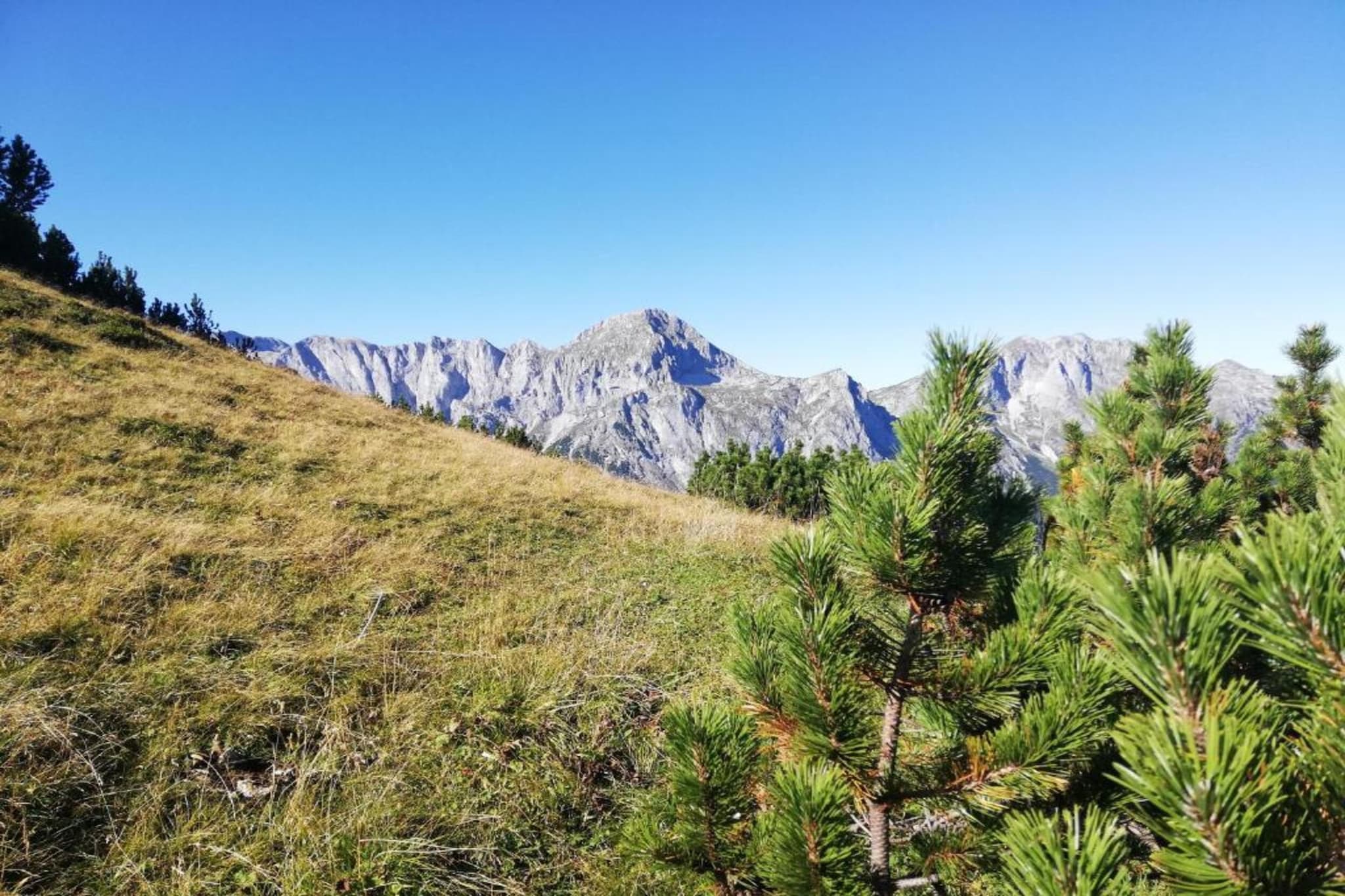 Höring-Gebieden zomer 20km