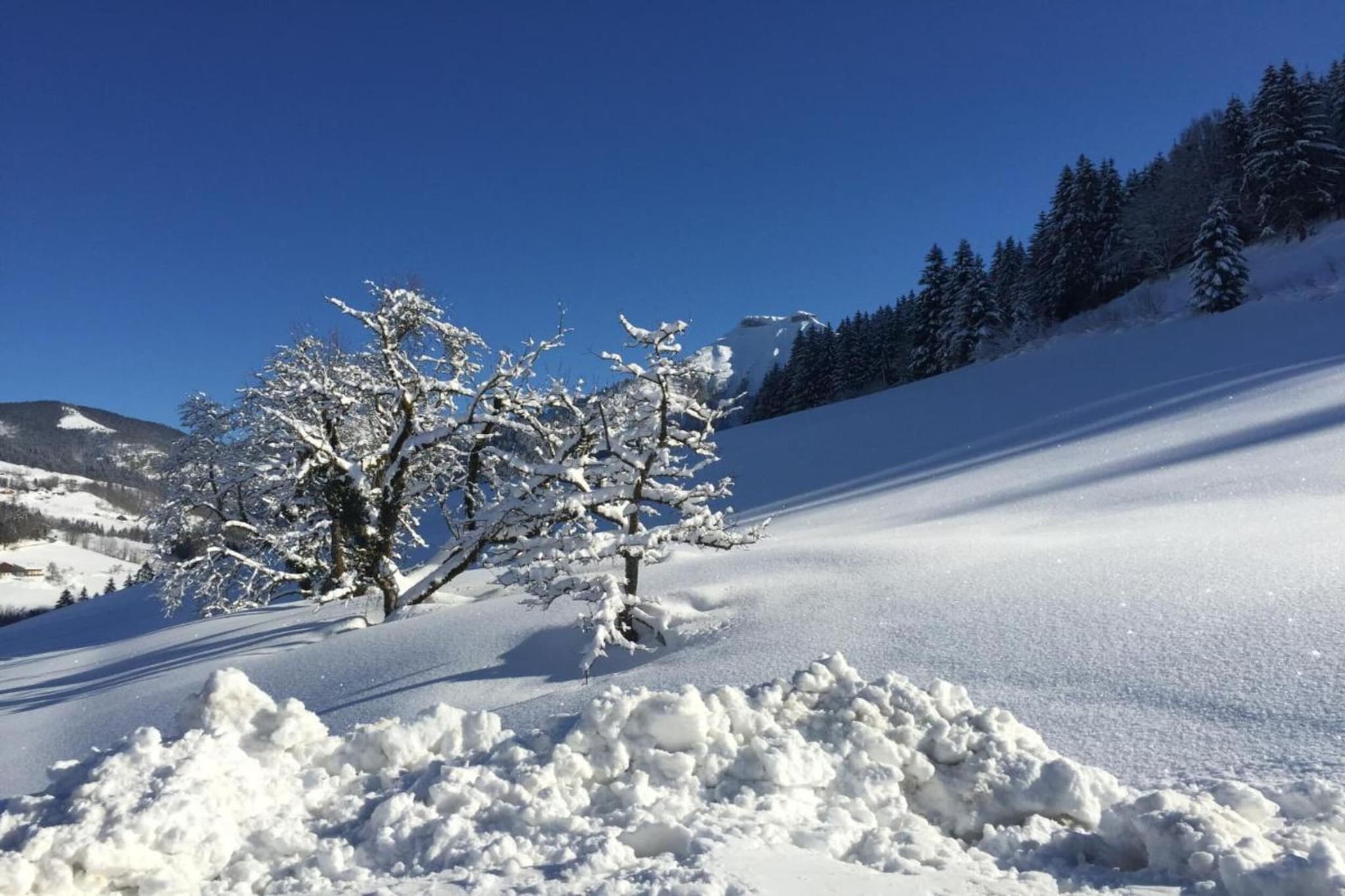Höring-Gebied winter 20km