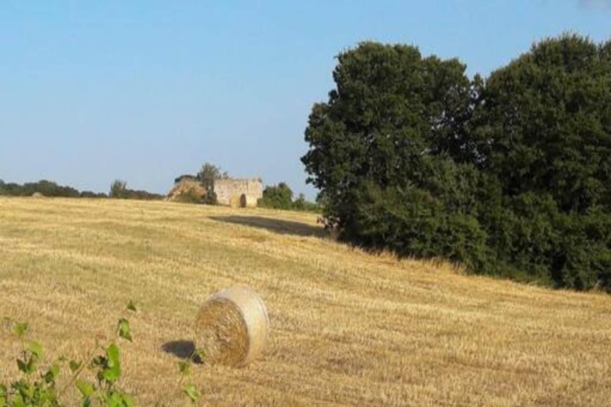 Il Tesoro-Gebieden zomer 20km
