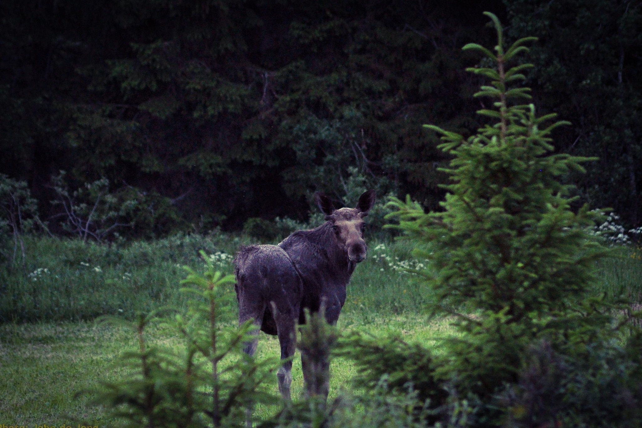 The Farm-Areas within 5km in summer