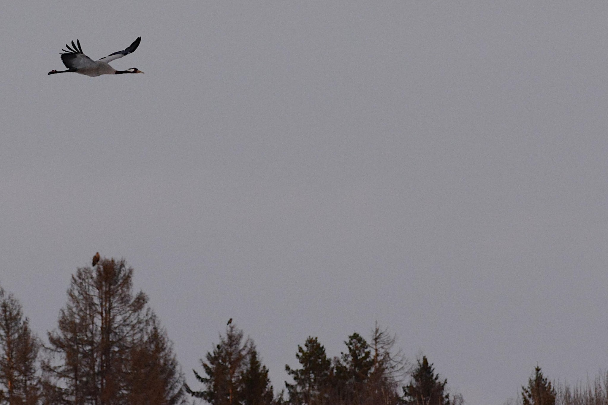 The Farm-Areas within 5km in summer