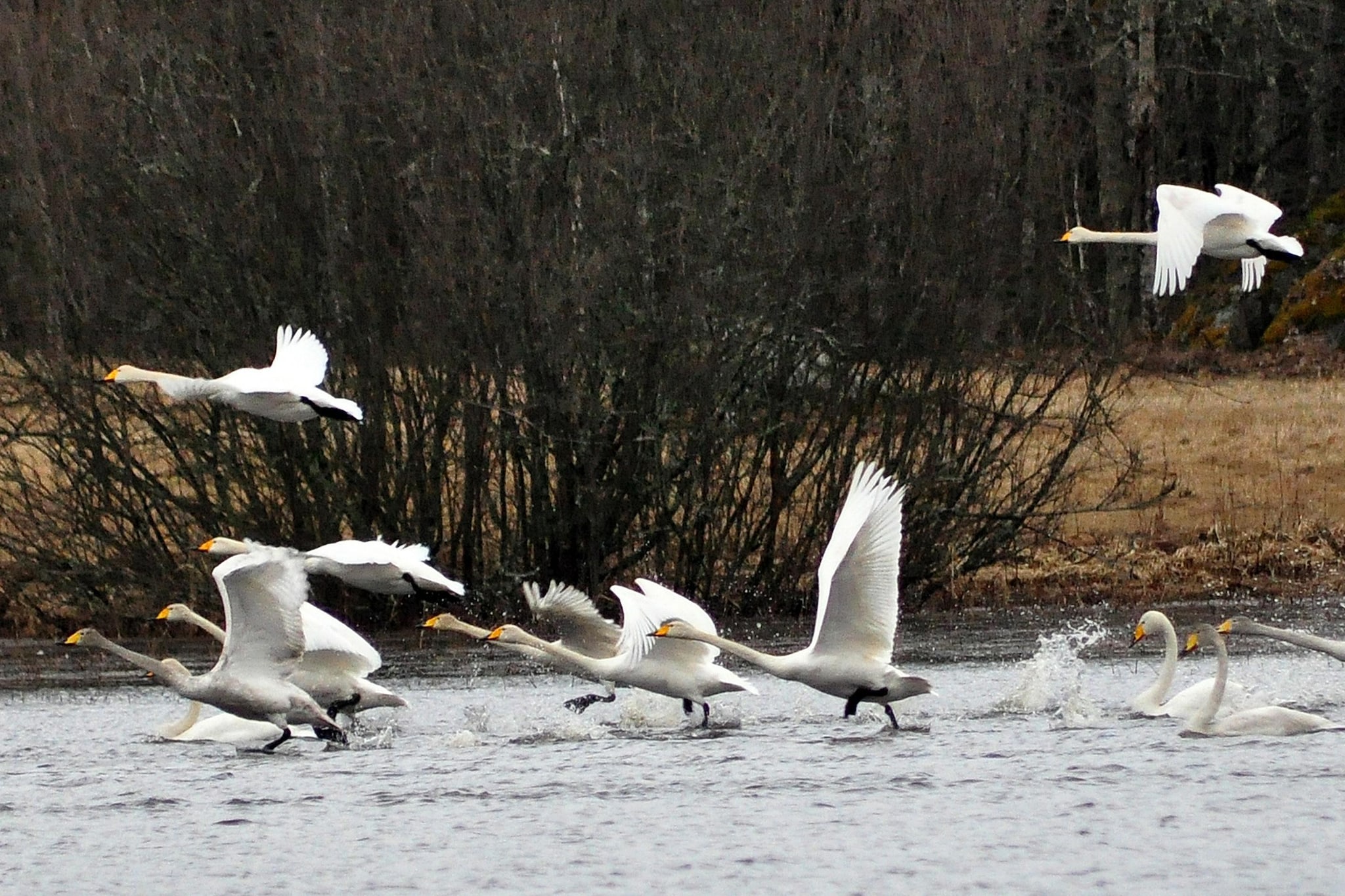 The Farm-Areas within 5km in summer