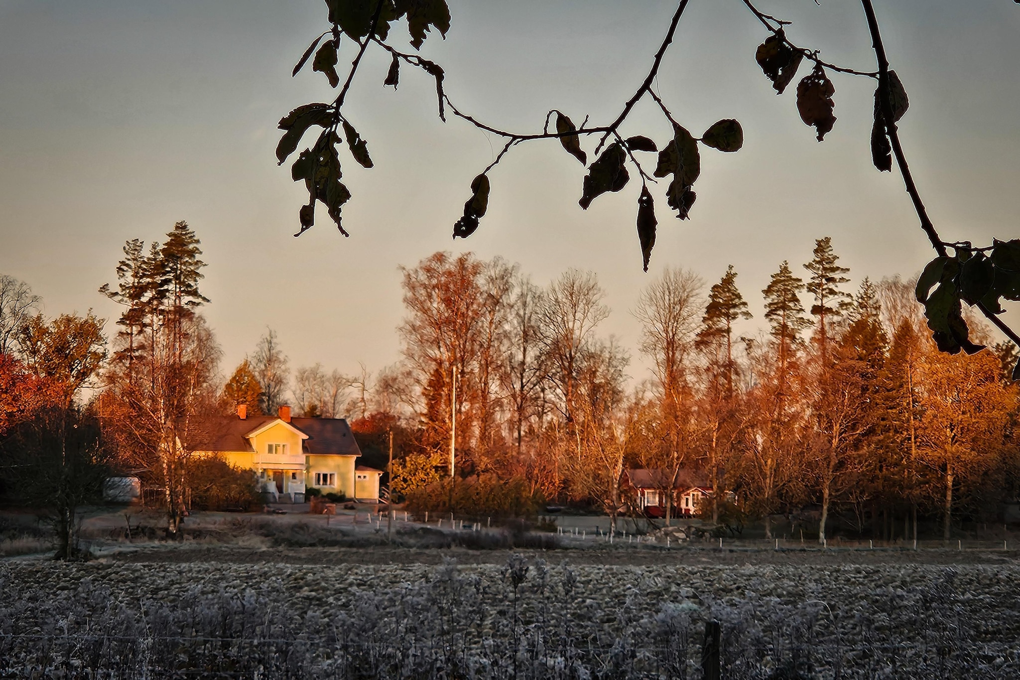 The Farm-Areas within 1km in summer
