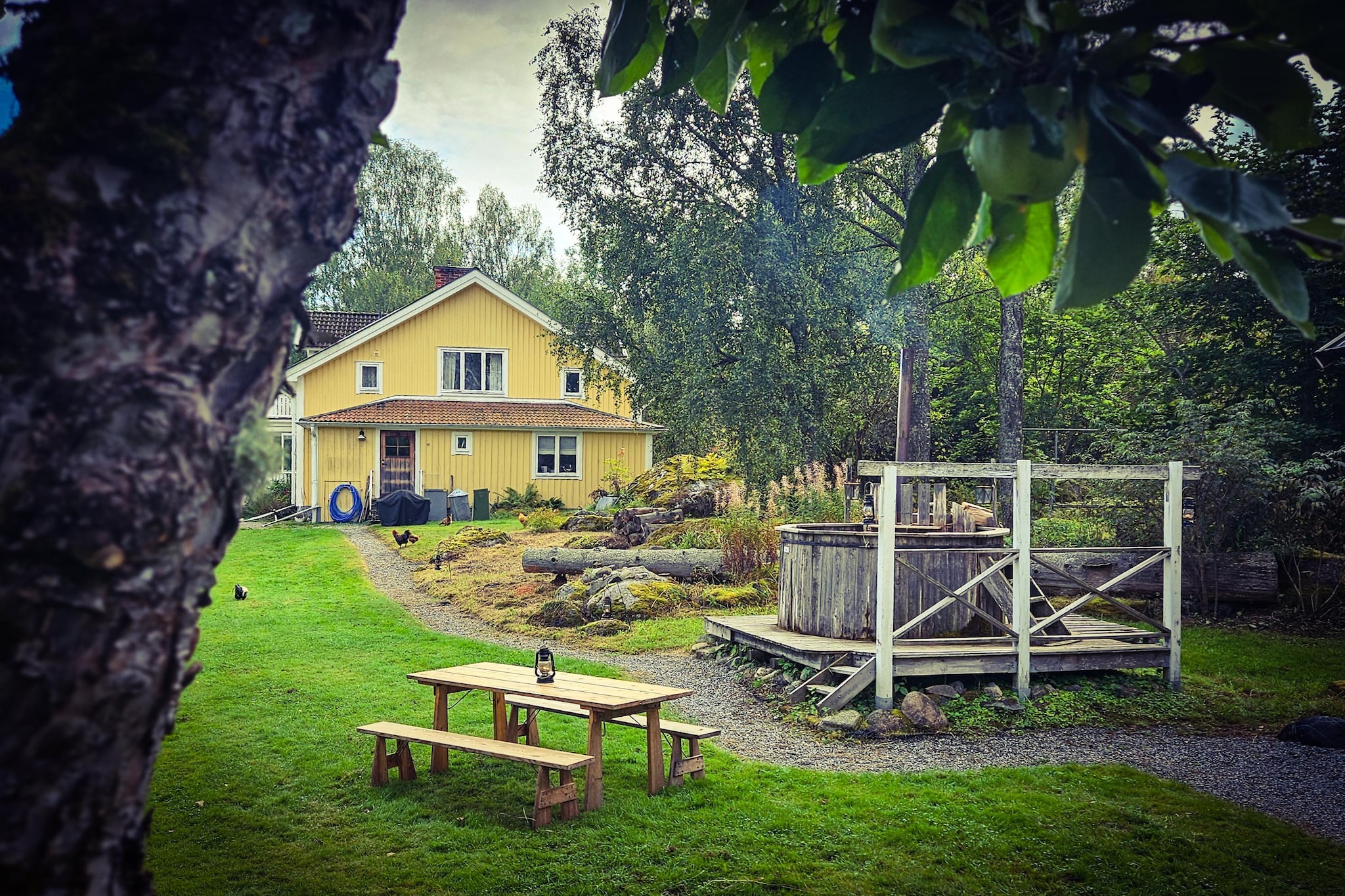 The Farm-Gardens in summer