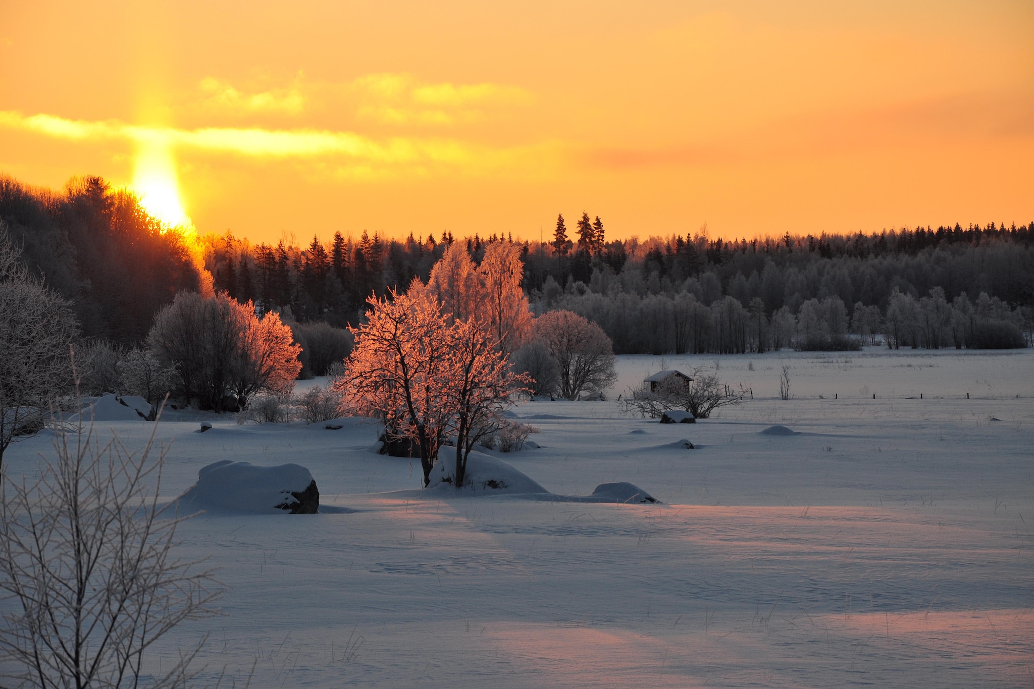 The Farm-Area within 5km in winter