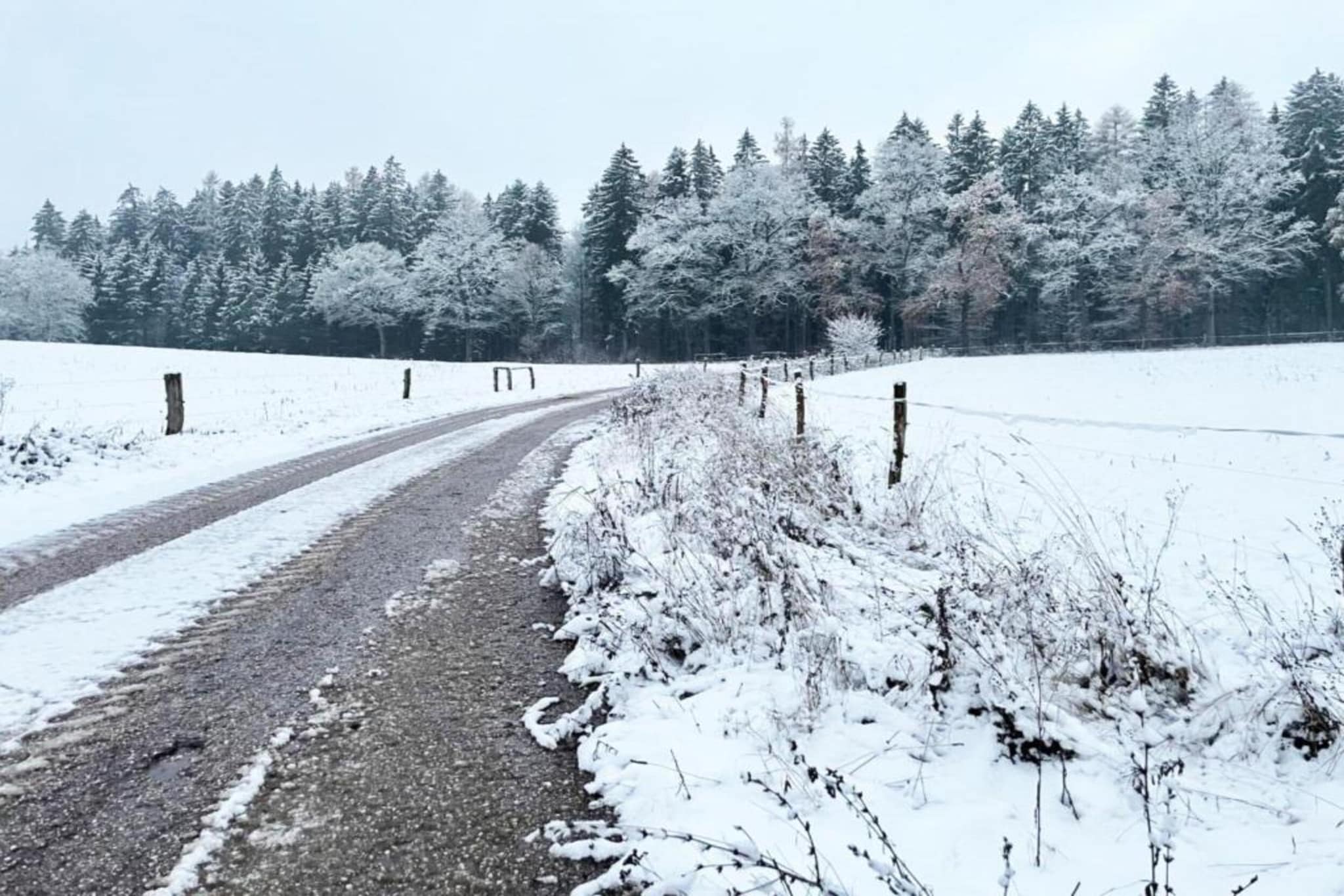 Huis Javornik-Gebied winter 20km