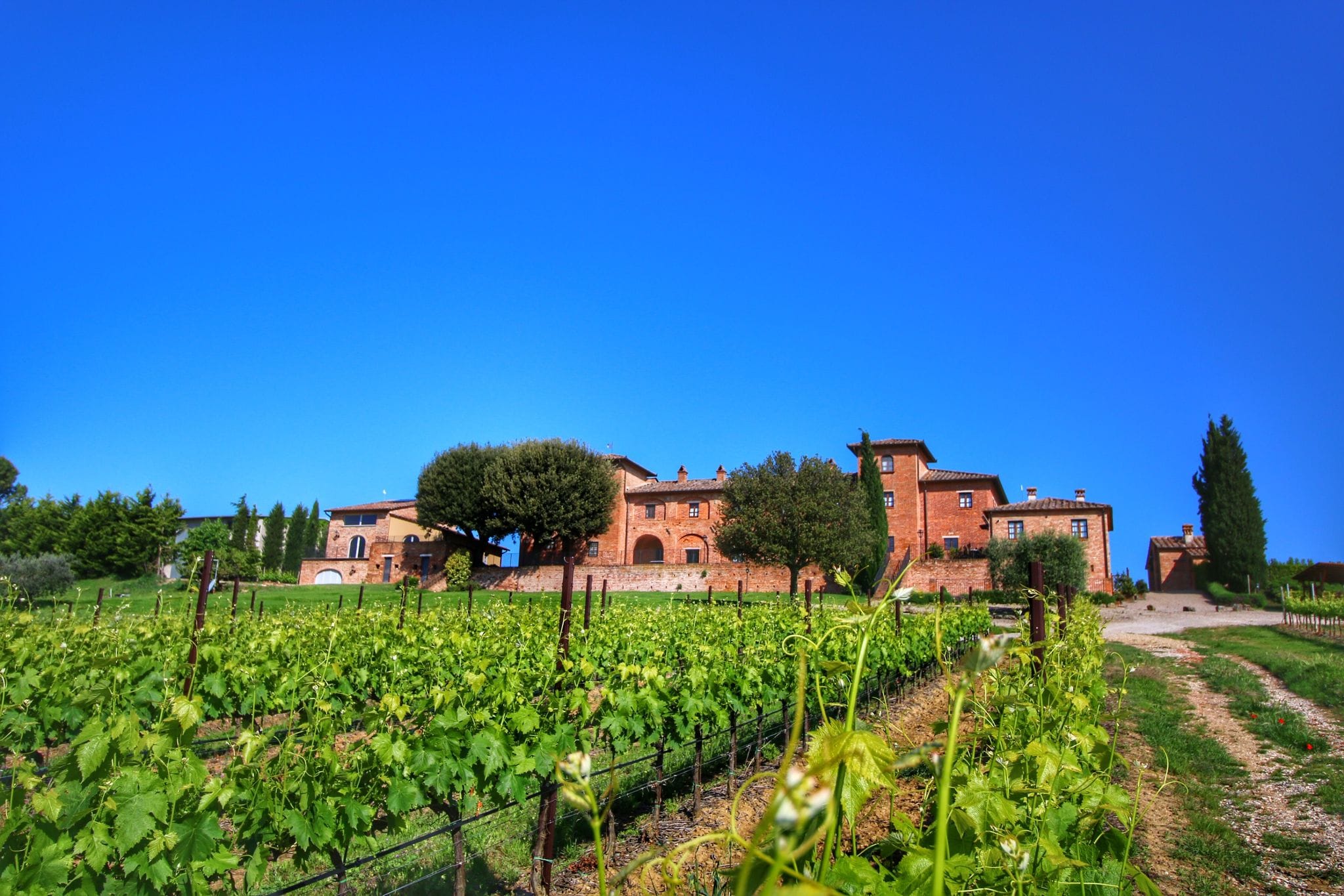 Agriturismo met zwembad, uitzicht over wijngaard Vino Nobile di Montepulciano
