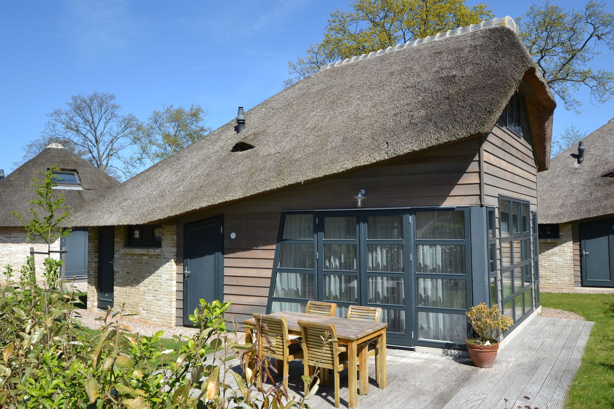 Luxurious, thatched cottage at the Schoorl dune area