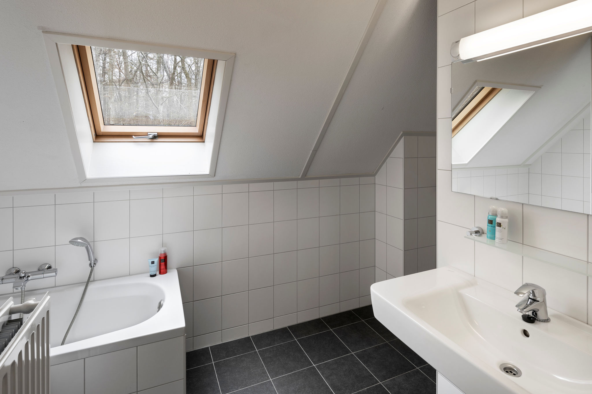 Rietgedekte villa met twee badkamers, op 8 km. van Hoogeveen