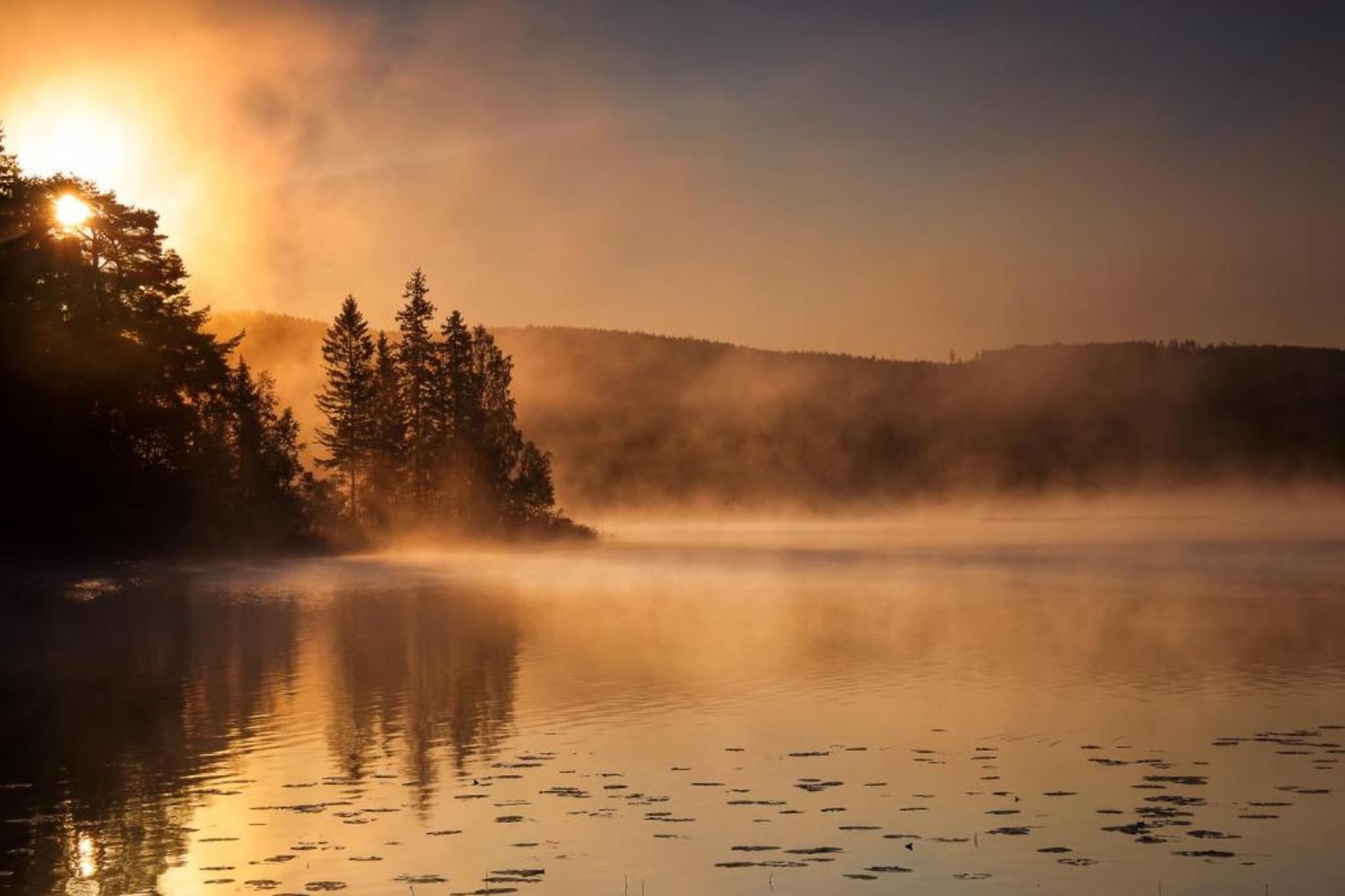 Värmlands Sjö och Fjäll Camping 14-Zones d'été à 20 km