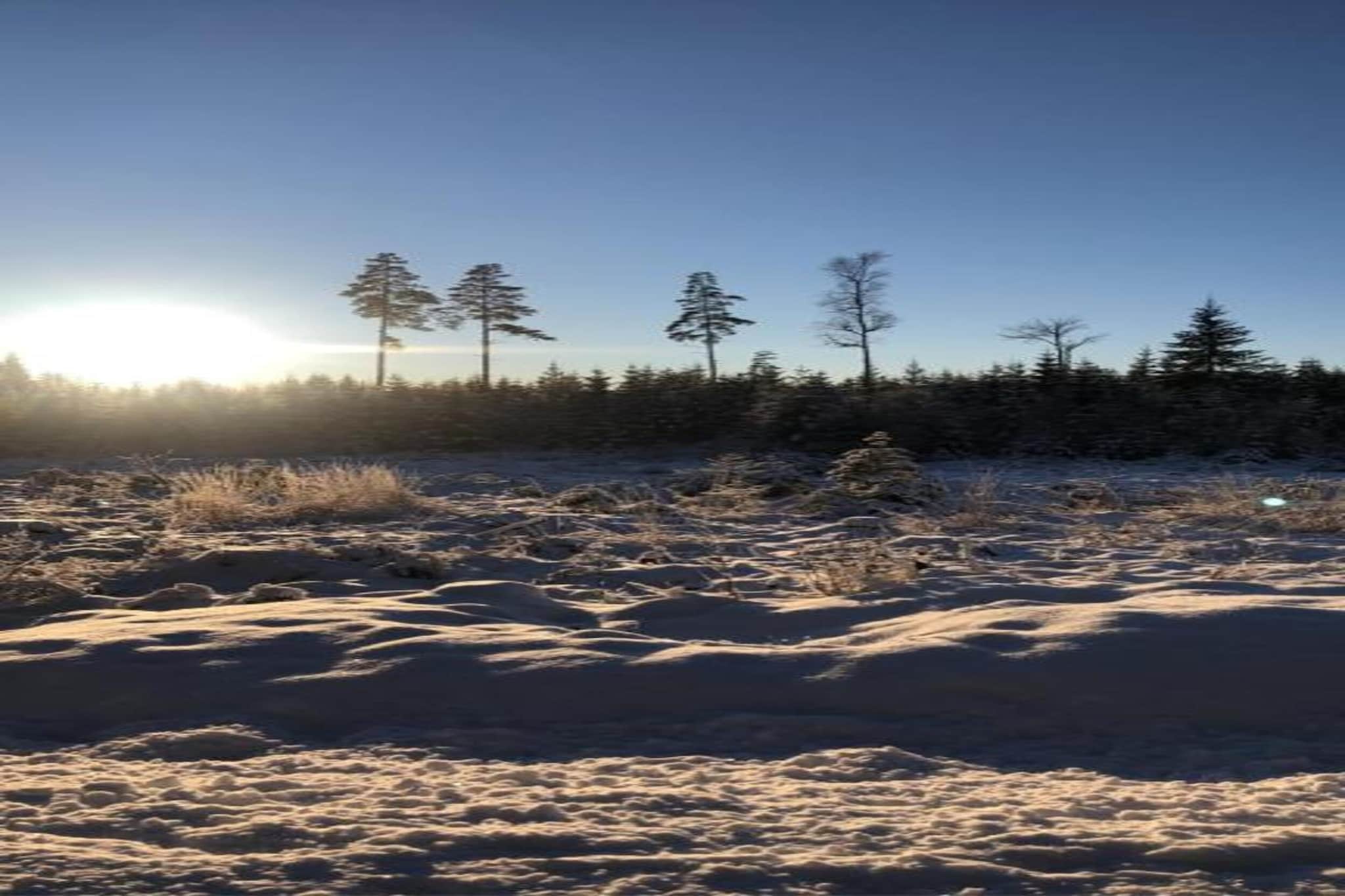 Värmlands Sjö och Fjäll Camping 14-Zone d'hiver à 20 km