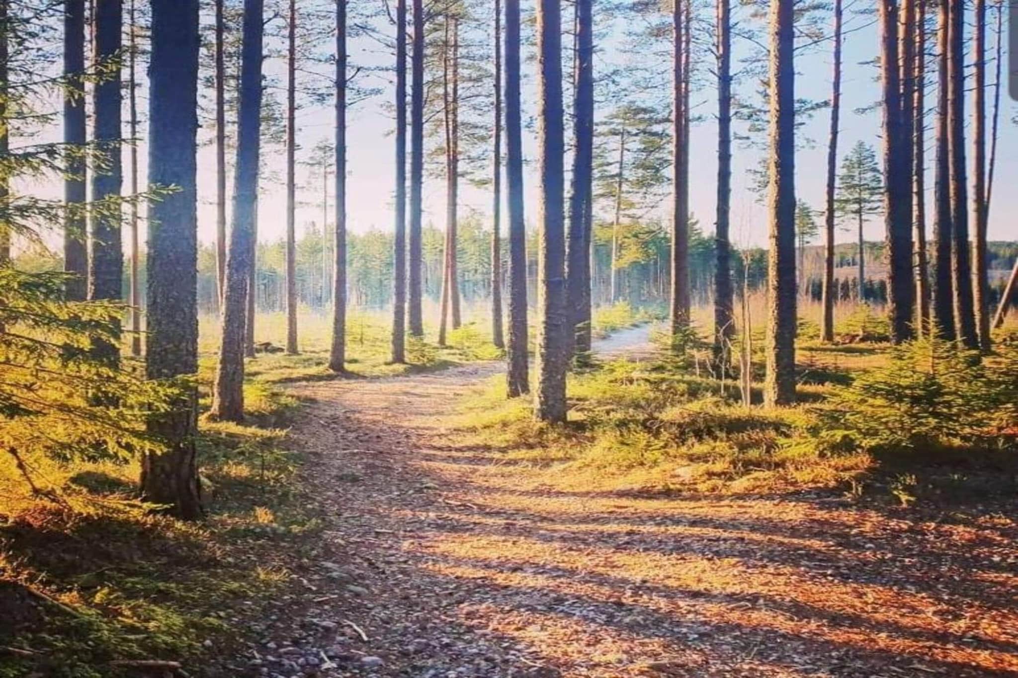 Värmlands Sjö och Fjäll Camping 14-Zones d'été à 20 km