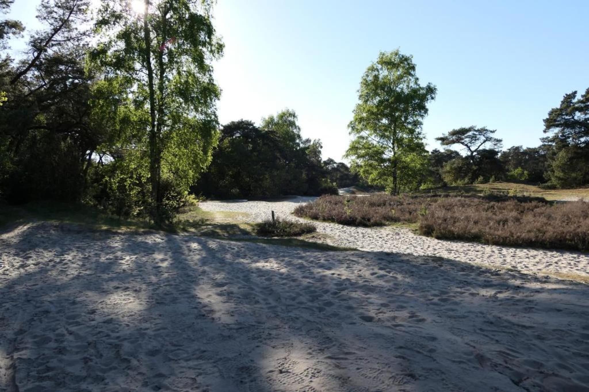 Recreatiepark Tolplas 1-Gebieden zomer 5km