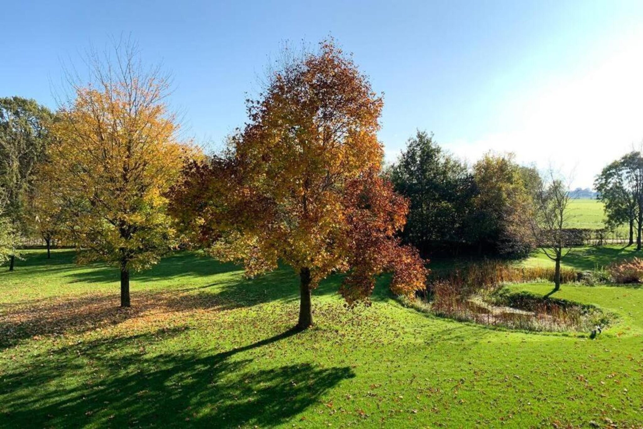 Recreatiepark Tolplas 11-Areas summer 5km