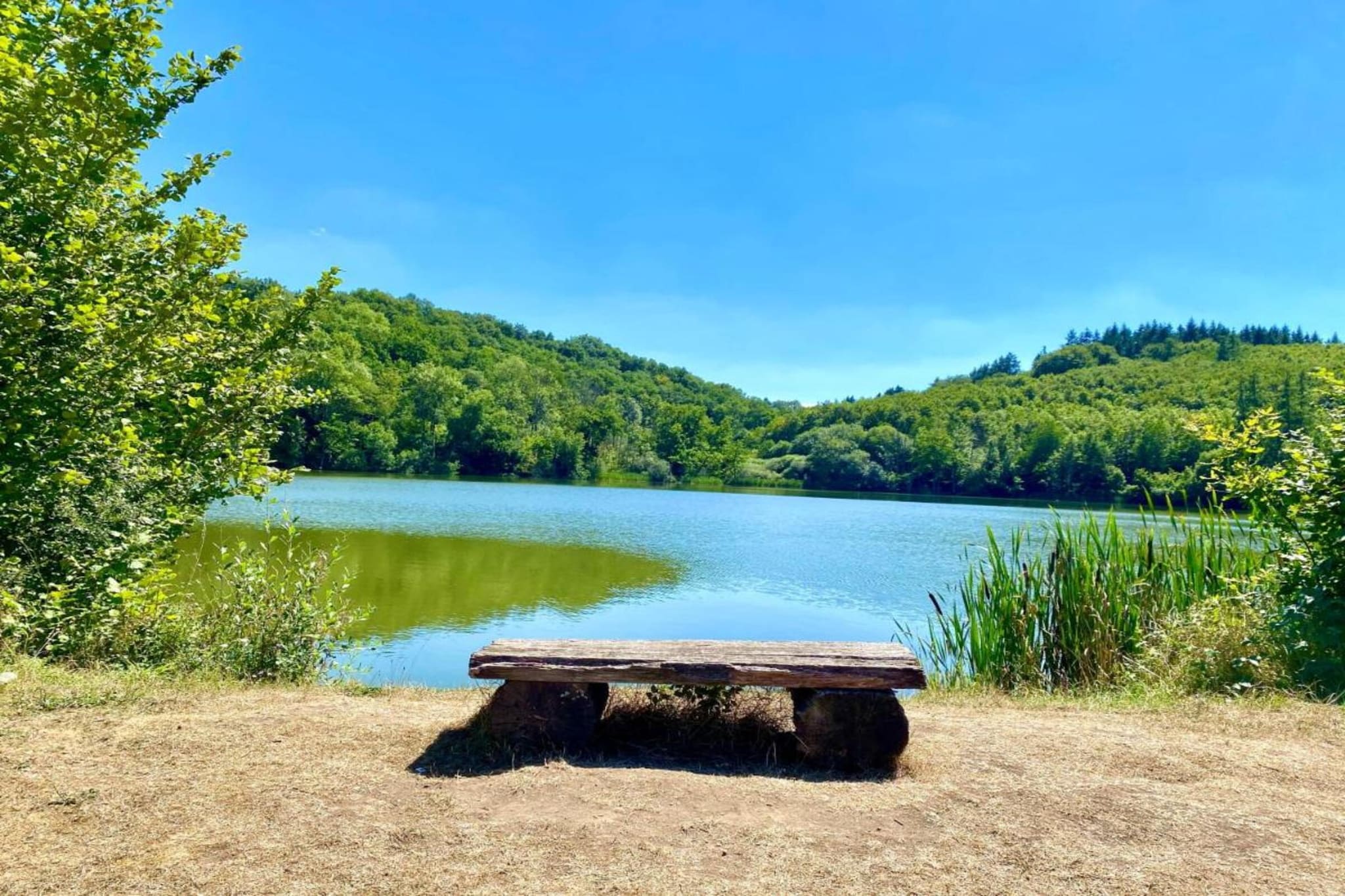 Denterhof-Gebiete Sommer 20 km