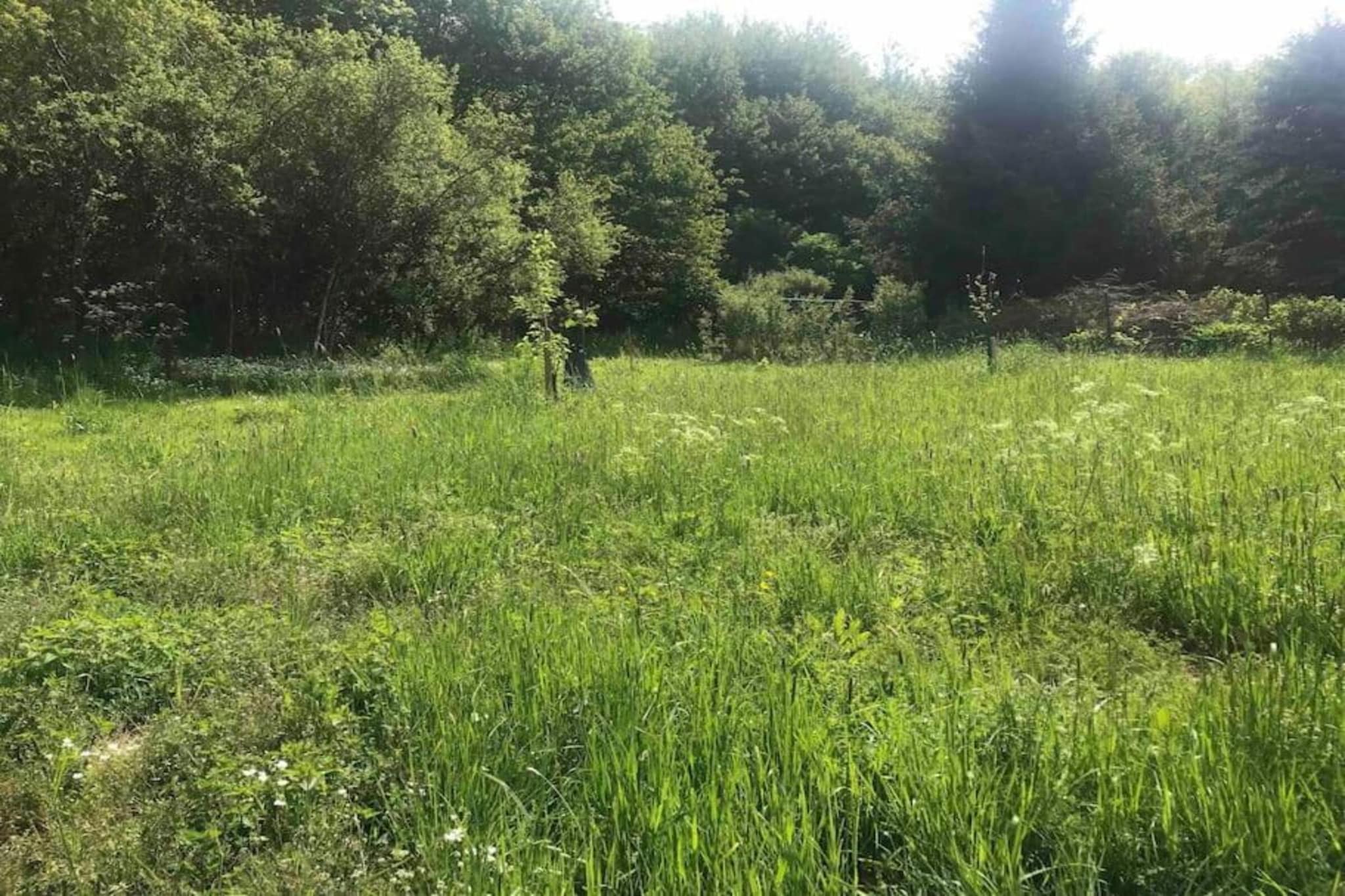 Denterhof-Gebiete Sommer 20 km