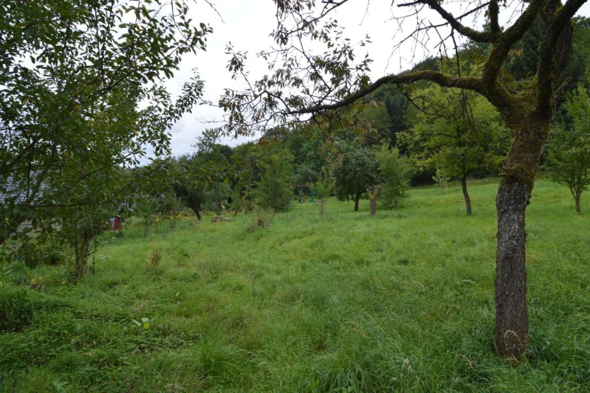 Denterhof-Gebiete Sommer 20 km