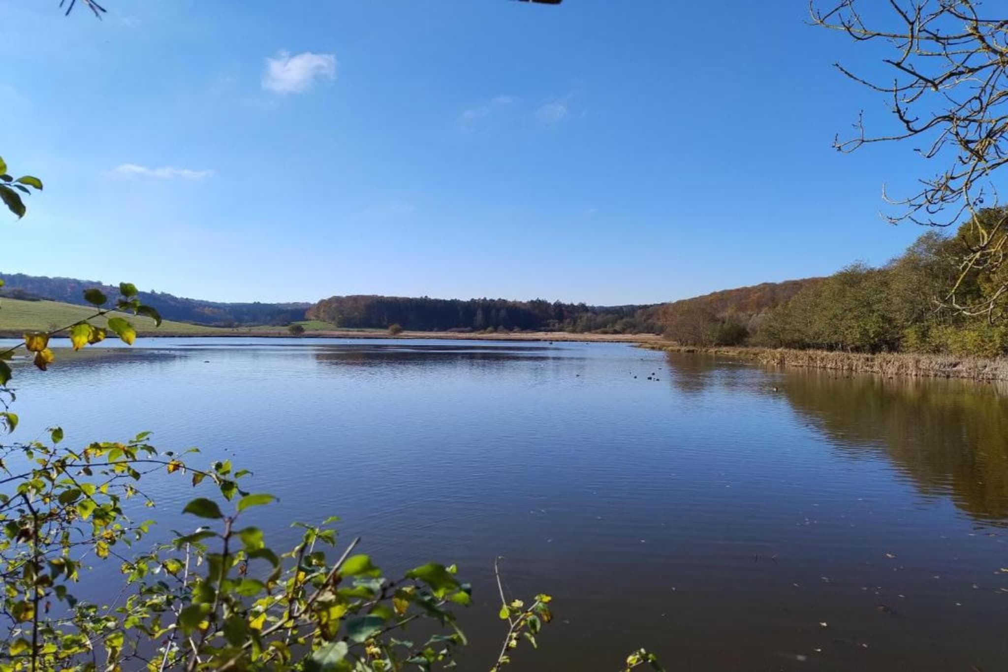 Denterhof-Gebiete Sommer 20 km