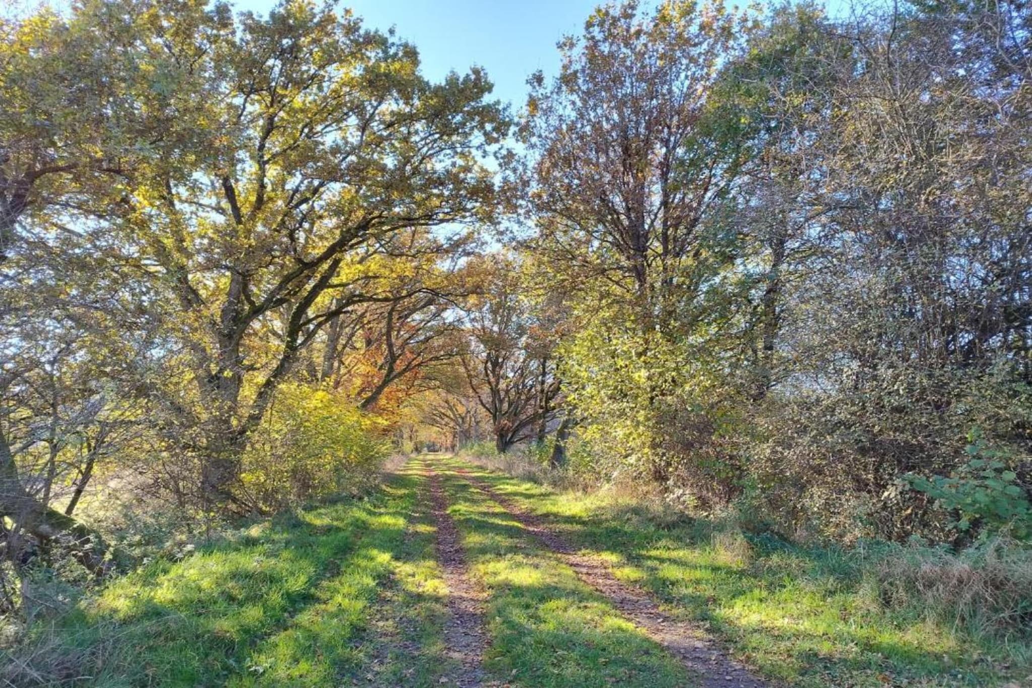 Denterhof-Gebiete Sommer 20 km