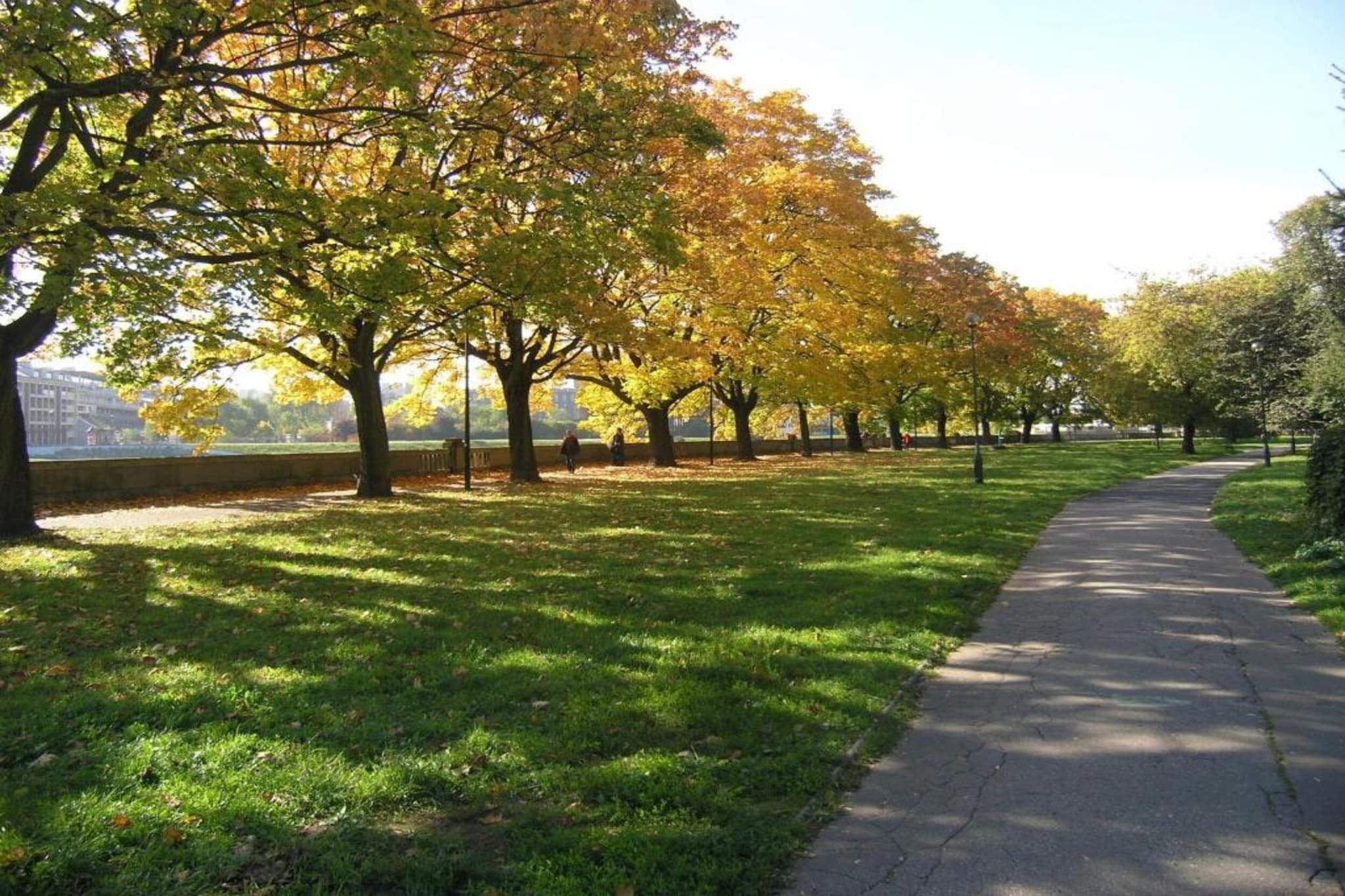 Lovely Krakow-Gebieden zomer 20km