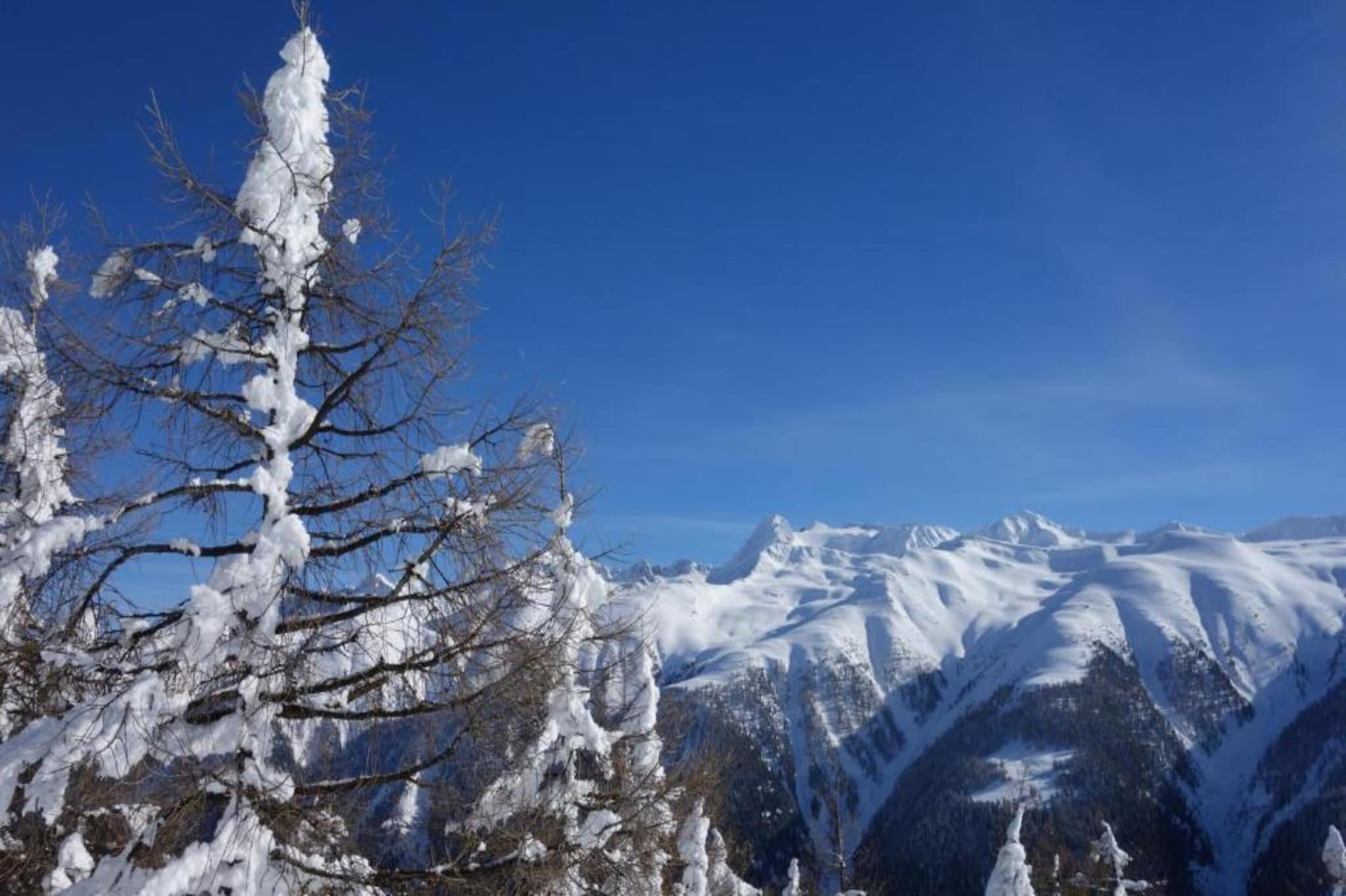 Bel Air-Gebiet Winter 5 km